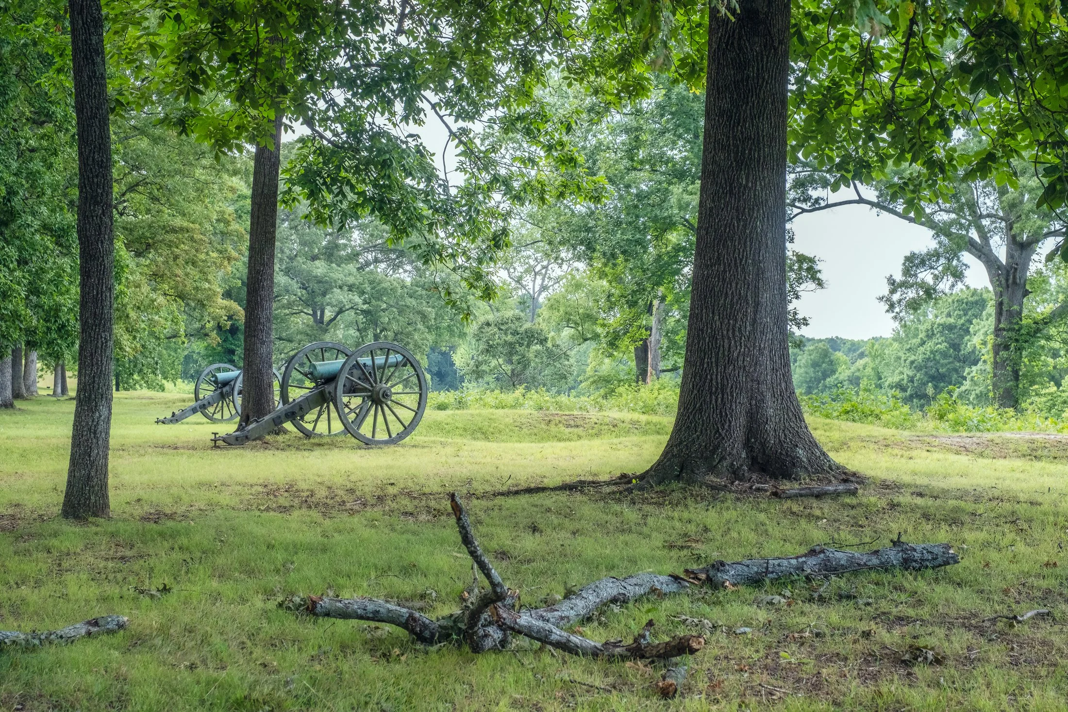 Prospect Hill battlefield in Fredericksburg, VA – historical landscape photography by Lange Photo Studio