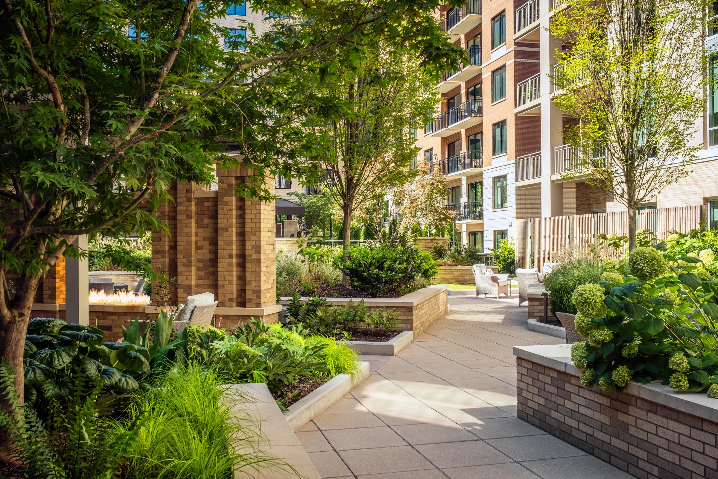 Village on Morehead a 55+ luxury senior living community showcasing the amenity courtyard, landscape design, by LandDesign in Charlotte, NC. Created by Lange Photo Studio.