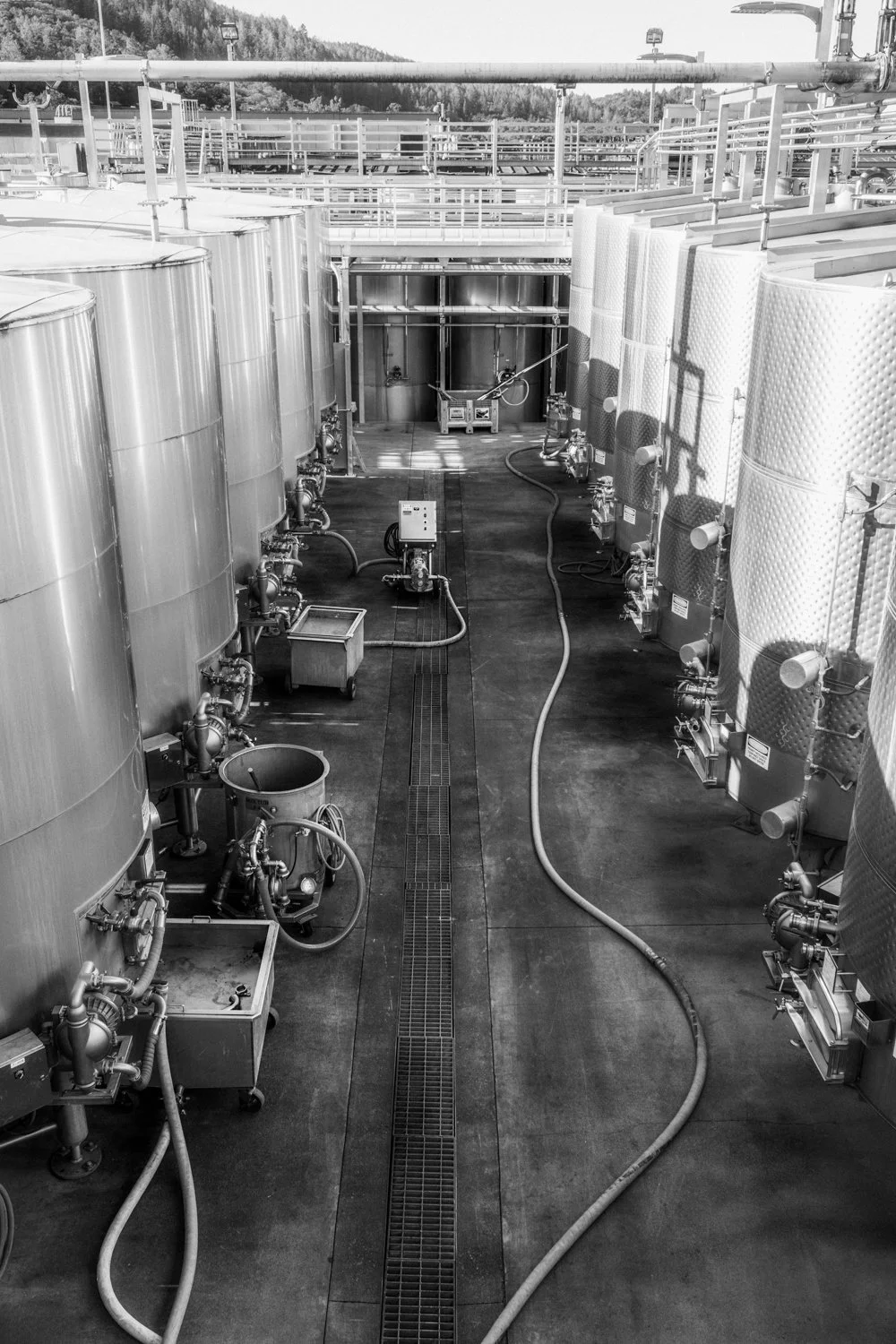 Behind-the-scenes winemaking at Beringer Vineyards in St. Helena, California – photographed by Lange Photo Studio