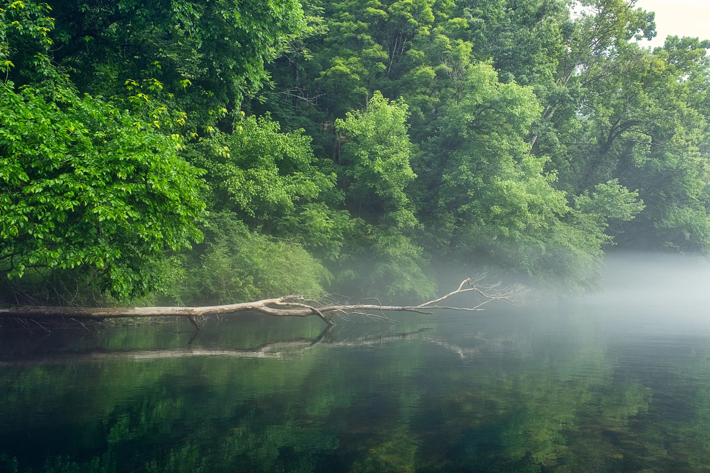 Guided fly fishing trip with Asheville Fly Fishing Company on a foggy river near Asheville, North Carolina. Photographed by Lange Photo Studio.
