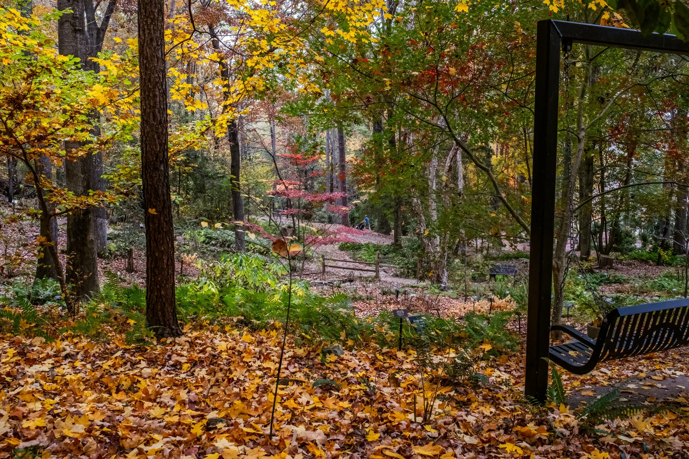 Birmingham Botanical Gardens – travel photography by Lange Photo Studio capturing the gardens