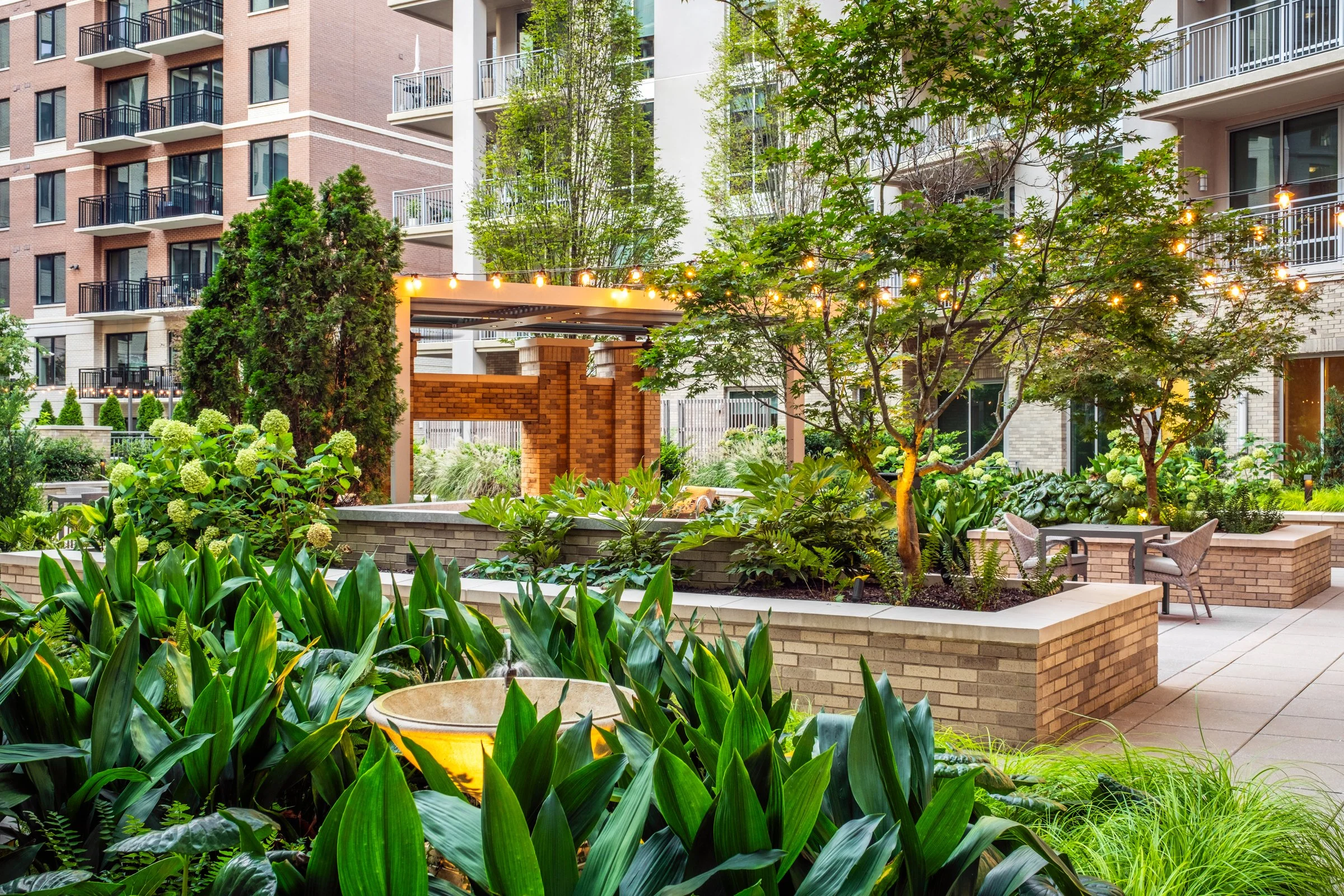 Village on Morehead a 55+ luxury senior living community showcasing the amenity courtyard, landscape design, by LandDesign in Charlotte, NC. Created by Lange Photo Studio.