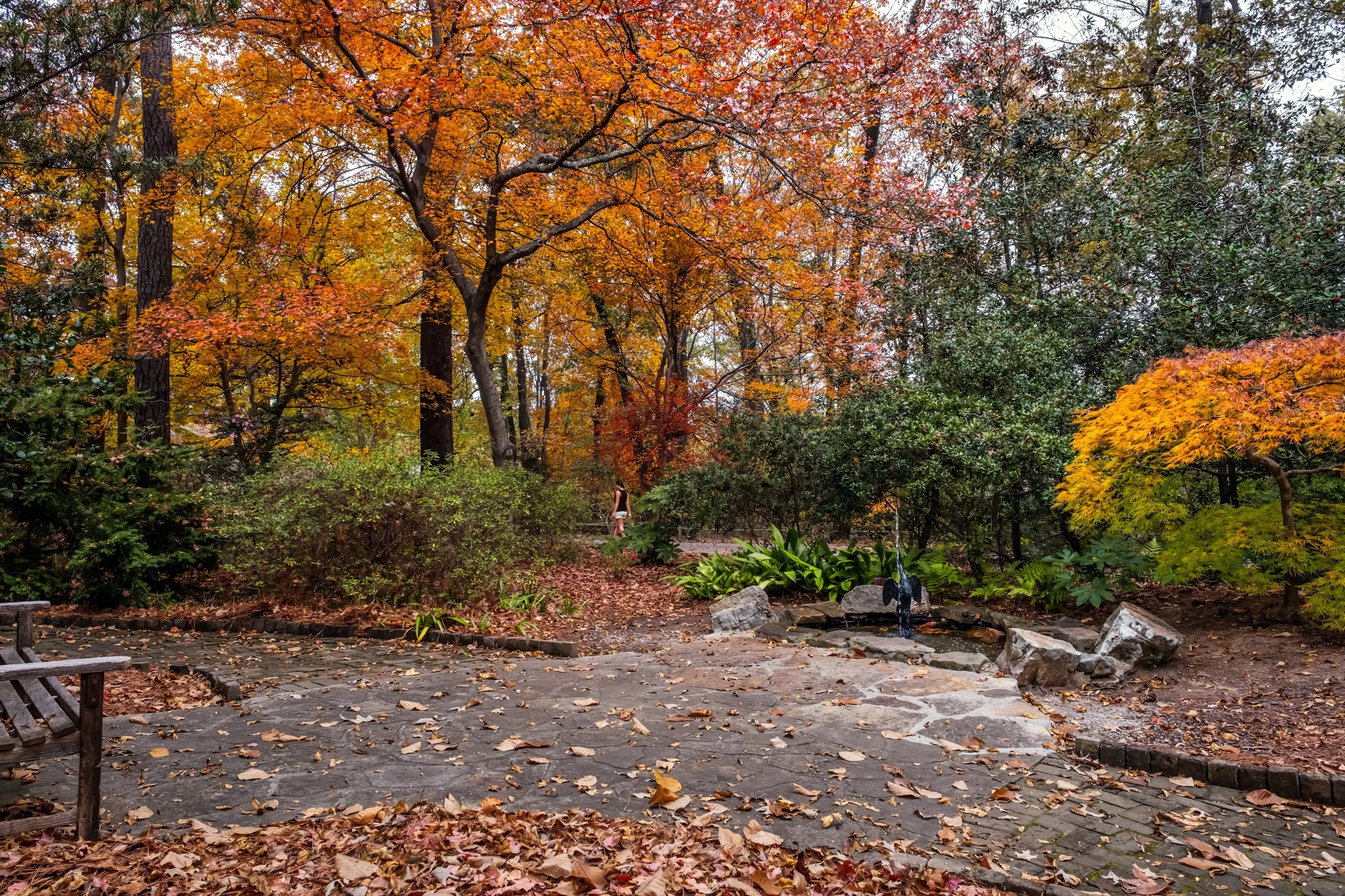 Birmingham Botanical Gardens – travel photography by Lange Photo Studio capturing the gardens