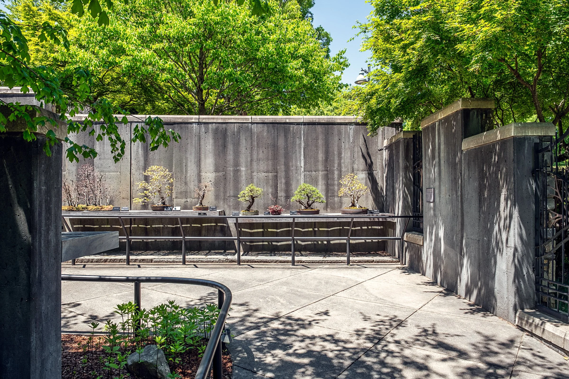 A quiet garden path and bonsai display at the North Carolina Arboretum near Asheville, North Carolina. Photographed by Lange Photo Studio. 