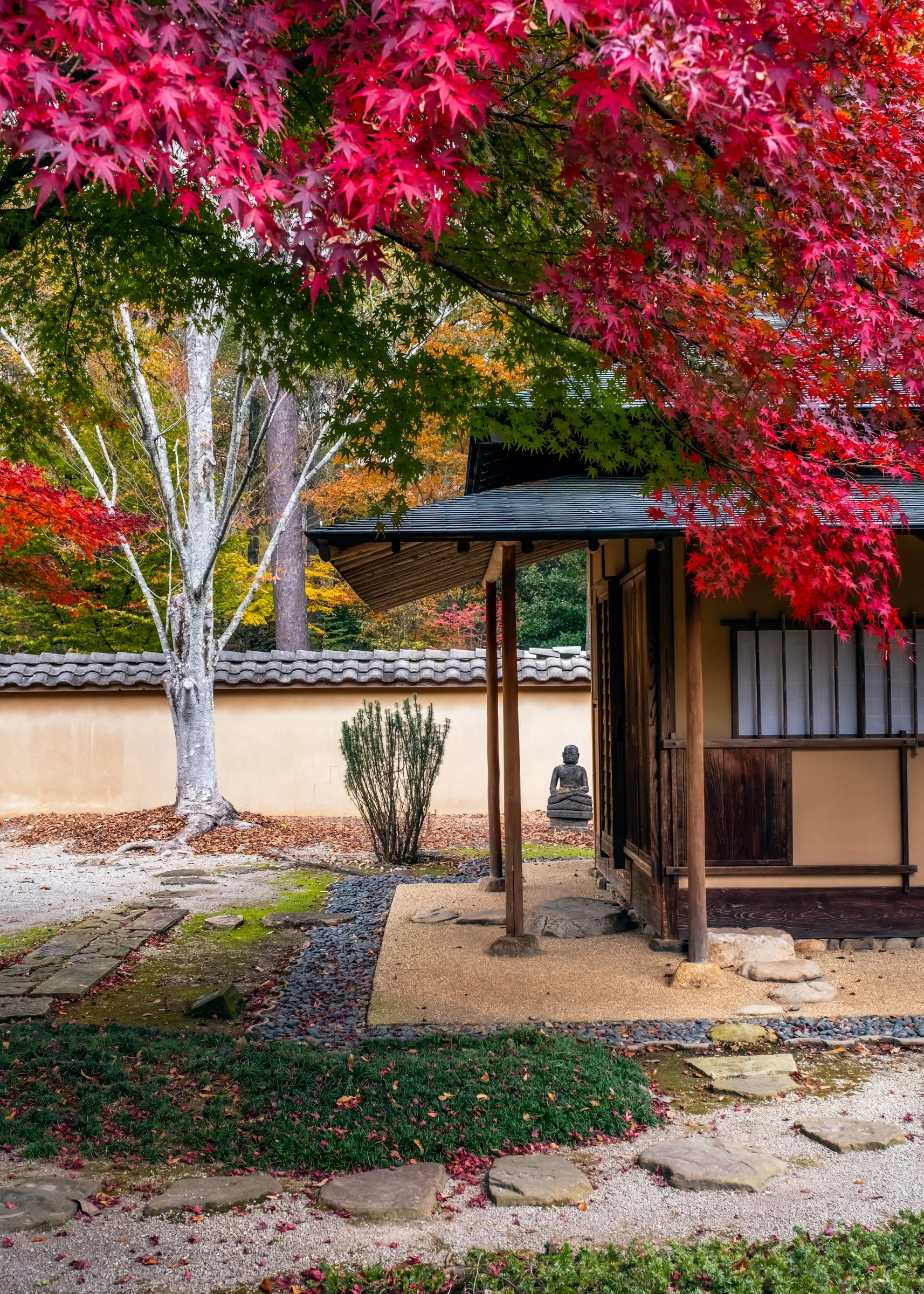 Birmingham Botanical Gardens – travel photography by Lange Photo Studio capturing the gardens