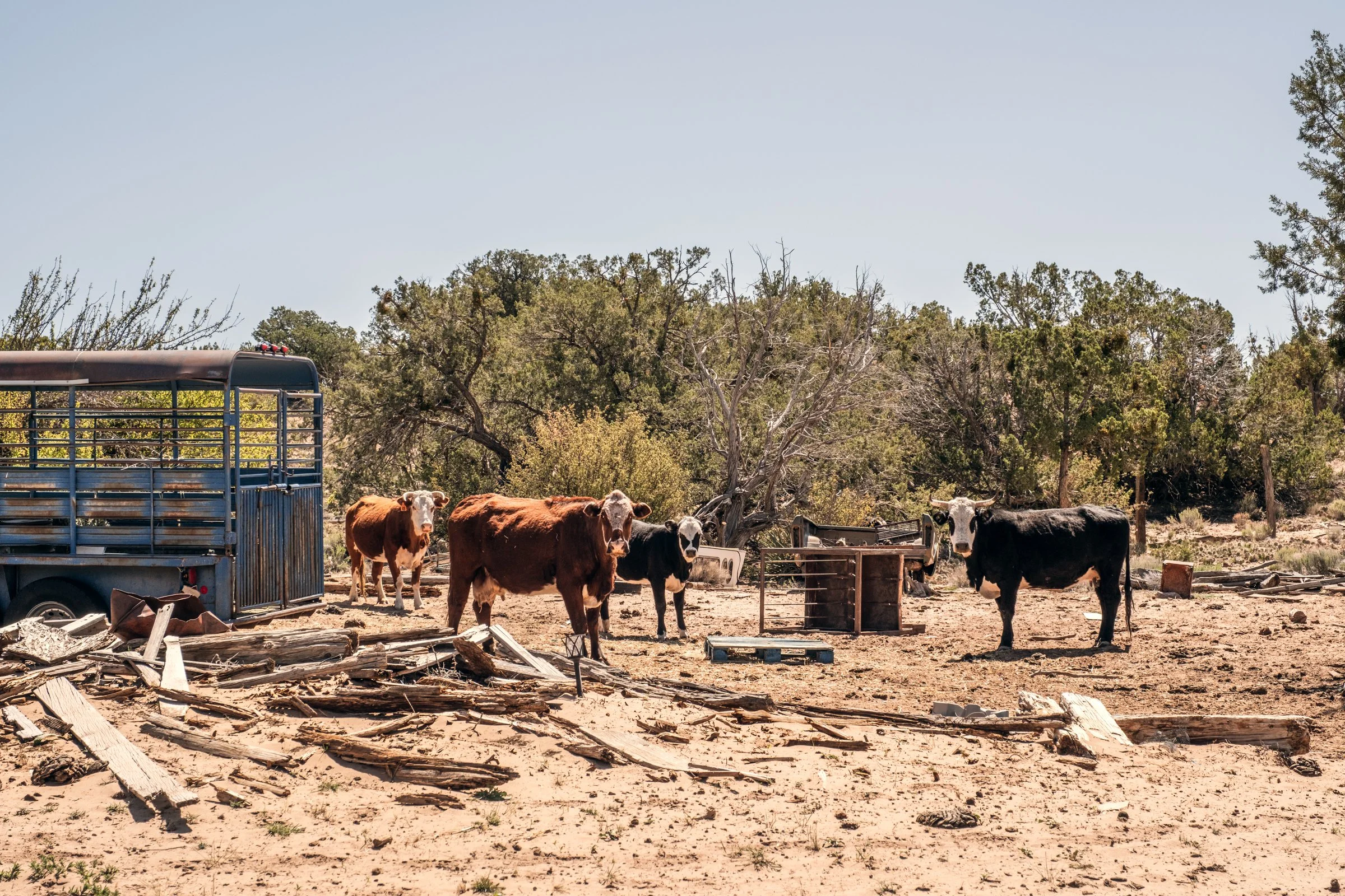 Hauling Life | Navajo Nation — Unified Metadata Paragraphs

Wayne Wilson and Joann Whiting collect water in Gallup, New Mexico at a community water source. The containers are filled, prepared, and loaded into their vehicle for transport across the Na