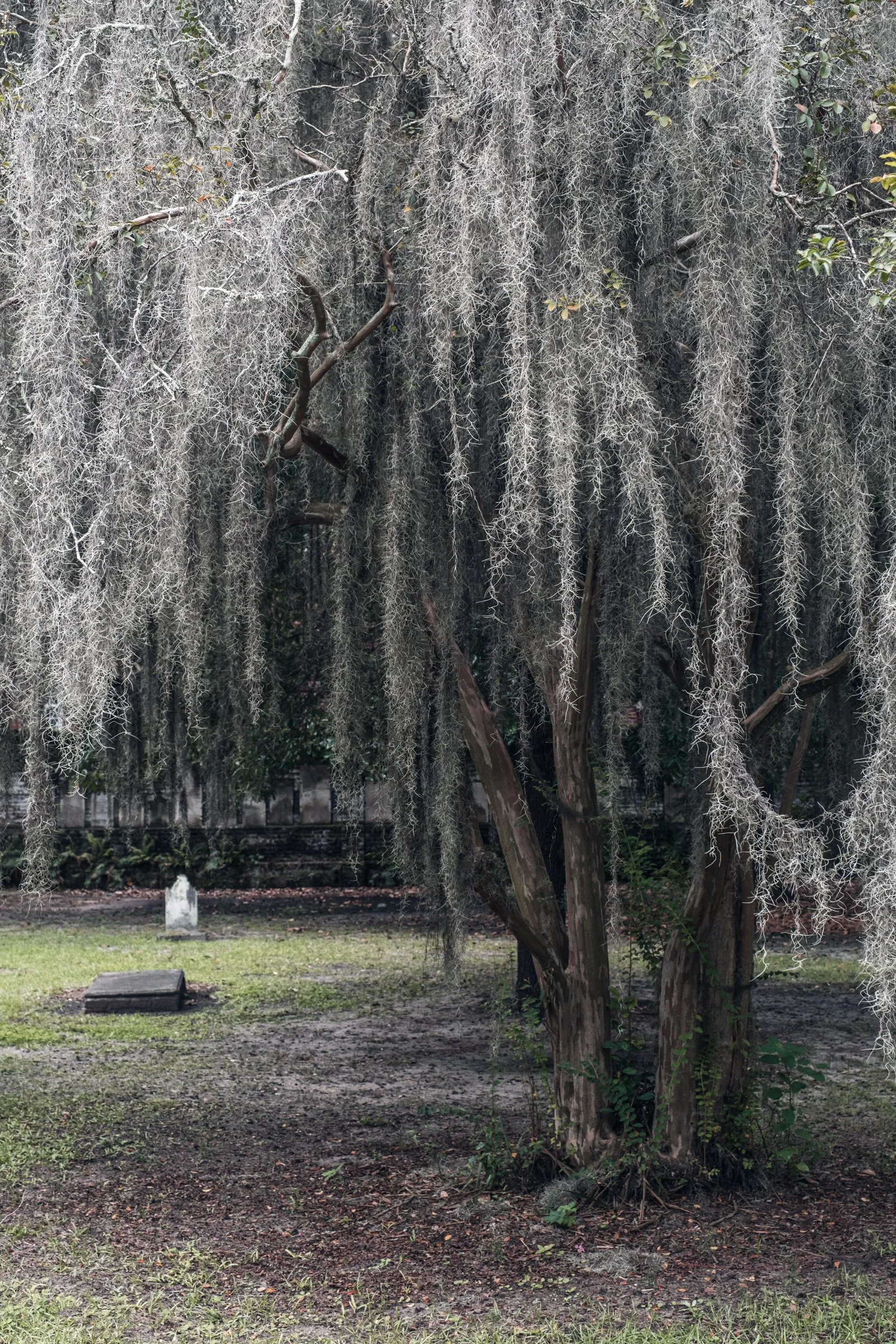 Colonial Park Cemetery, Laurel Grove Cemetery, Bonaventure Cemetery, gravestones, statues, Intimate Moments Within Savannah's Historic Cemeteries