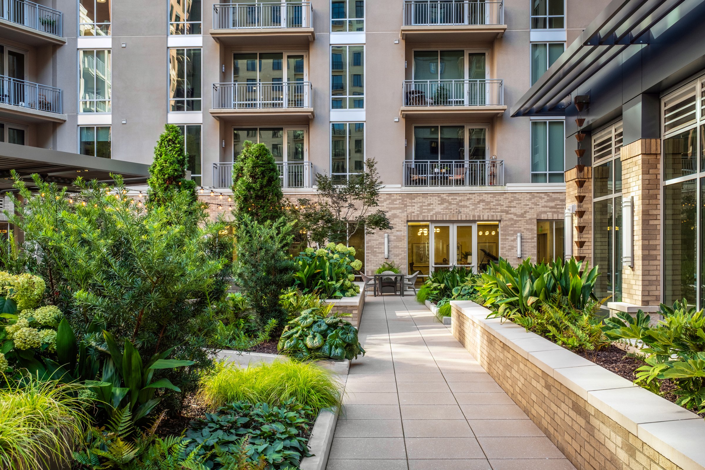 Village on Morehead a 55+ luxury senior living community showcasing the amenity courtyard, landscape design, by LandDesign in Charlotte, NC. Created by Lange Photo Studio.