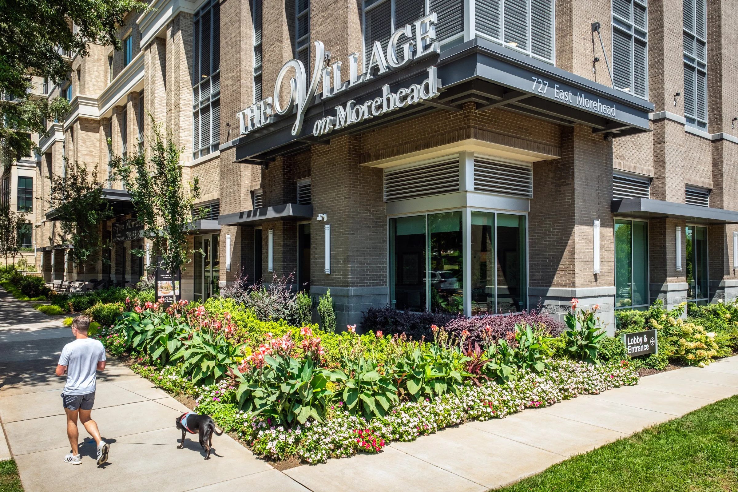Village on Morehead a 55+ luxury senior living community showcasing the amenity courtyard, landscape design, by LandDesign in Charlotte, NC. Created by Lange Photo Studio.
