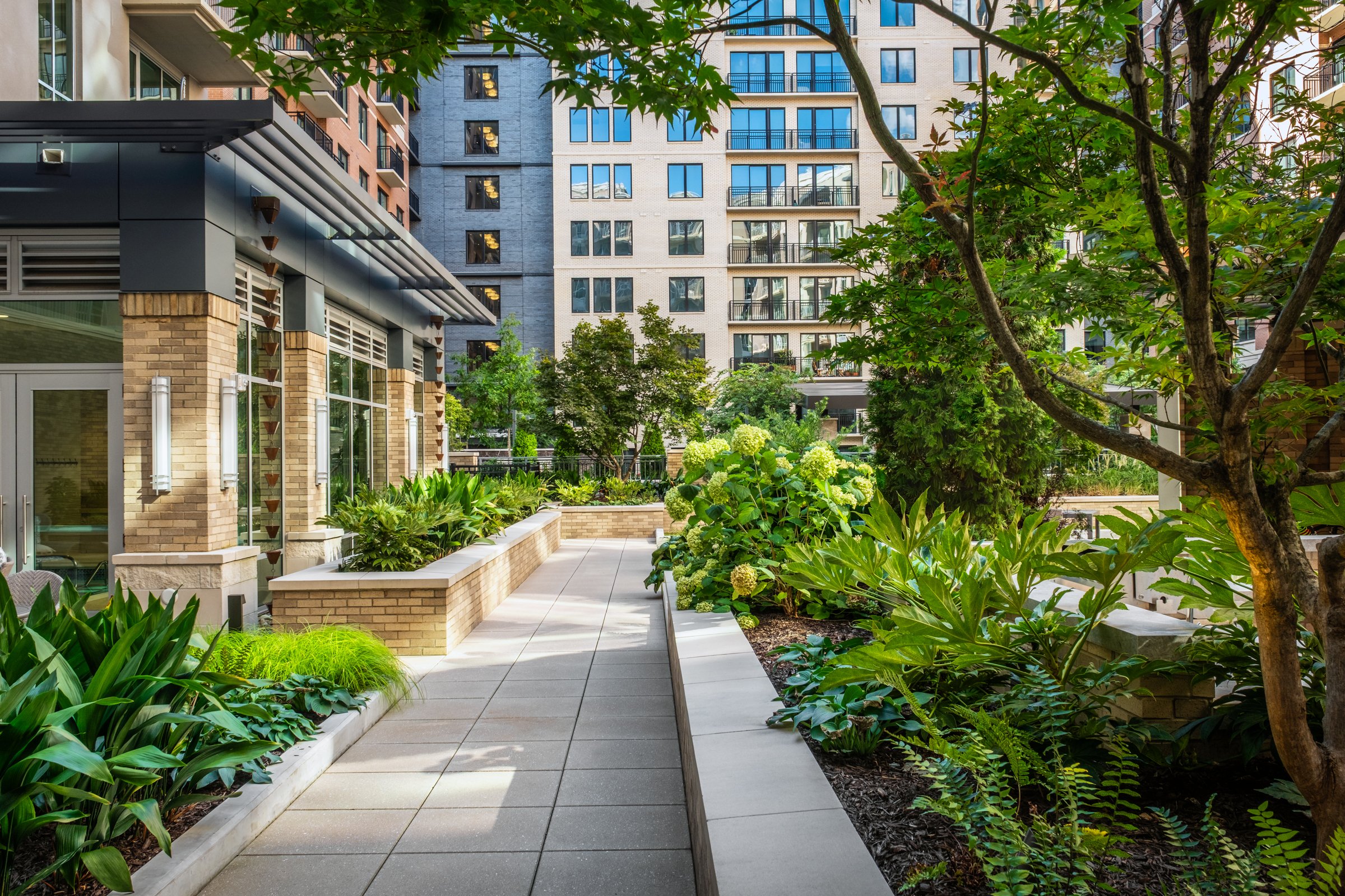 Village on Morehead a 55+ luxury senior living community showcasing the amenity courtyard, landscape design, by LandDesign in Charlotte, NC. Created by Lange Photo Studio.