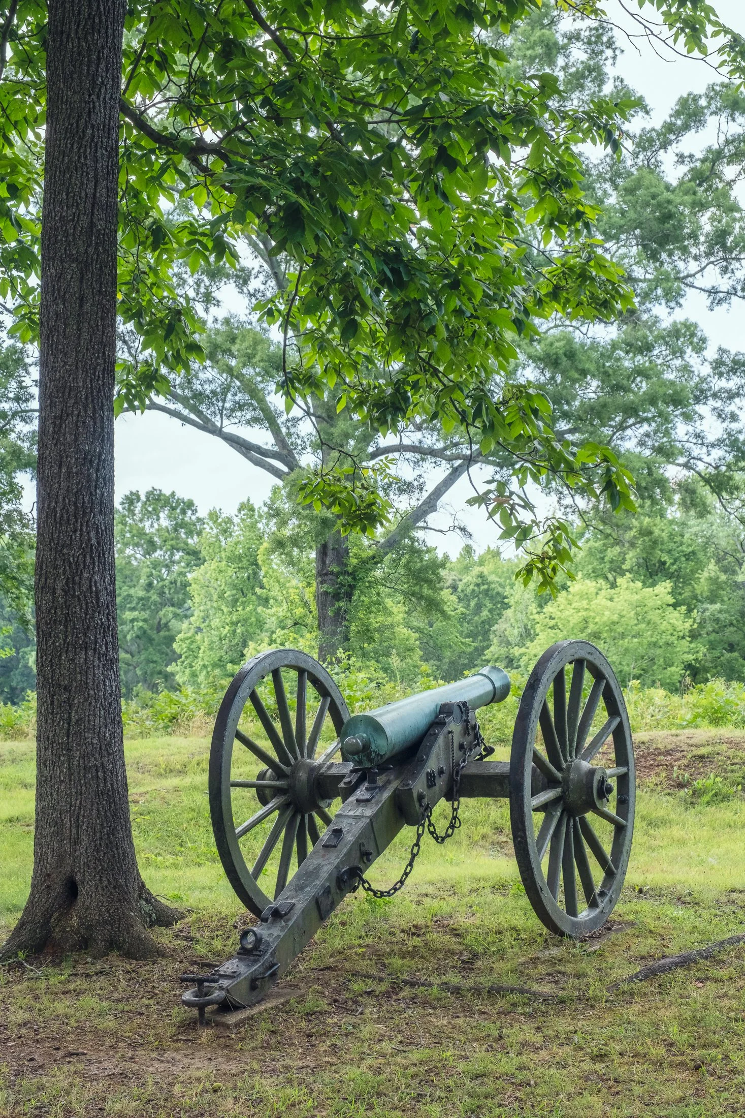 Prospect Hill battlefield in Fredericksburg, VA – historical landscape photography by Lange Photo Studio