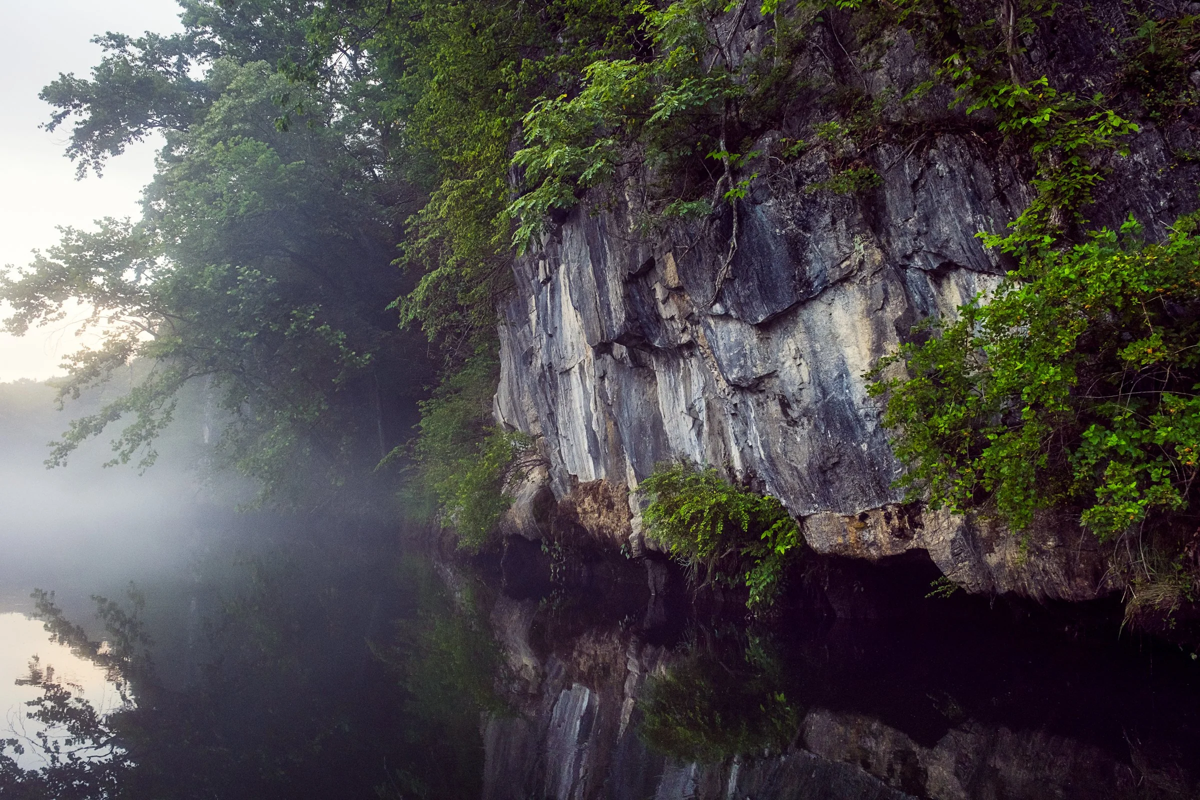 Guided fly fishing trip with Asheville Fly Fishing Company on a foggy river near Asheville, North Carolina. Photographed by Lange Photo Studio.