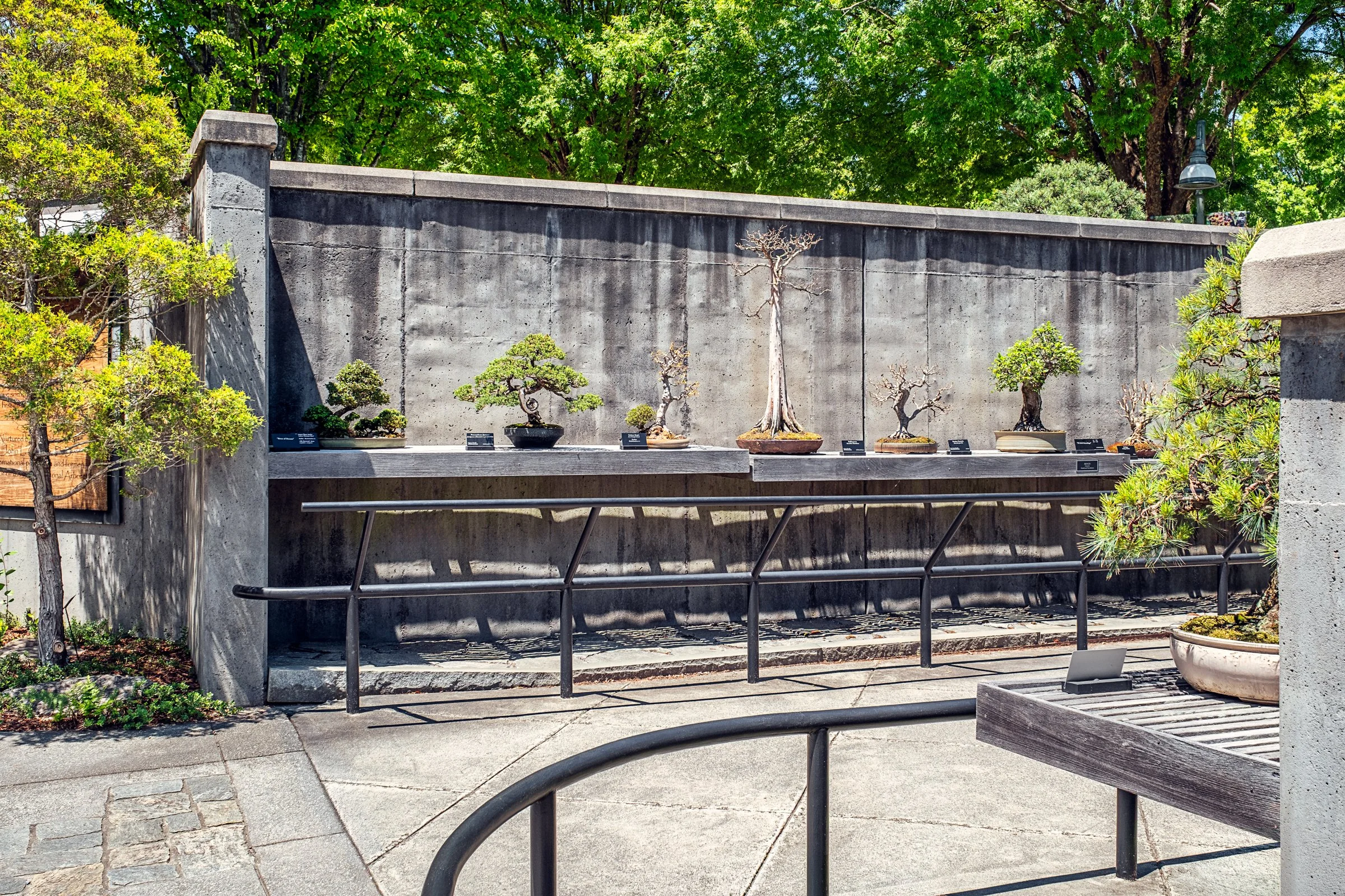A quiet garden path and bonsai display at the North Carolina Arboretum near Asheville, North Carolina. Photographed by Lange Photo Studio. 
