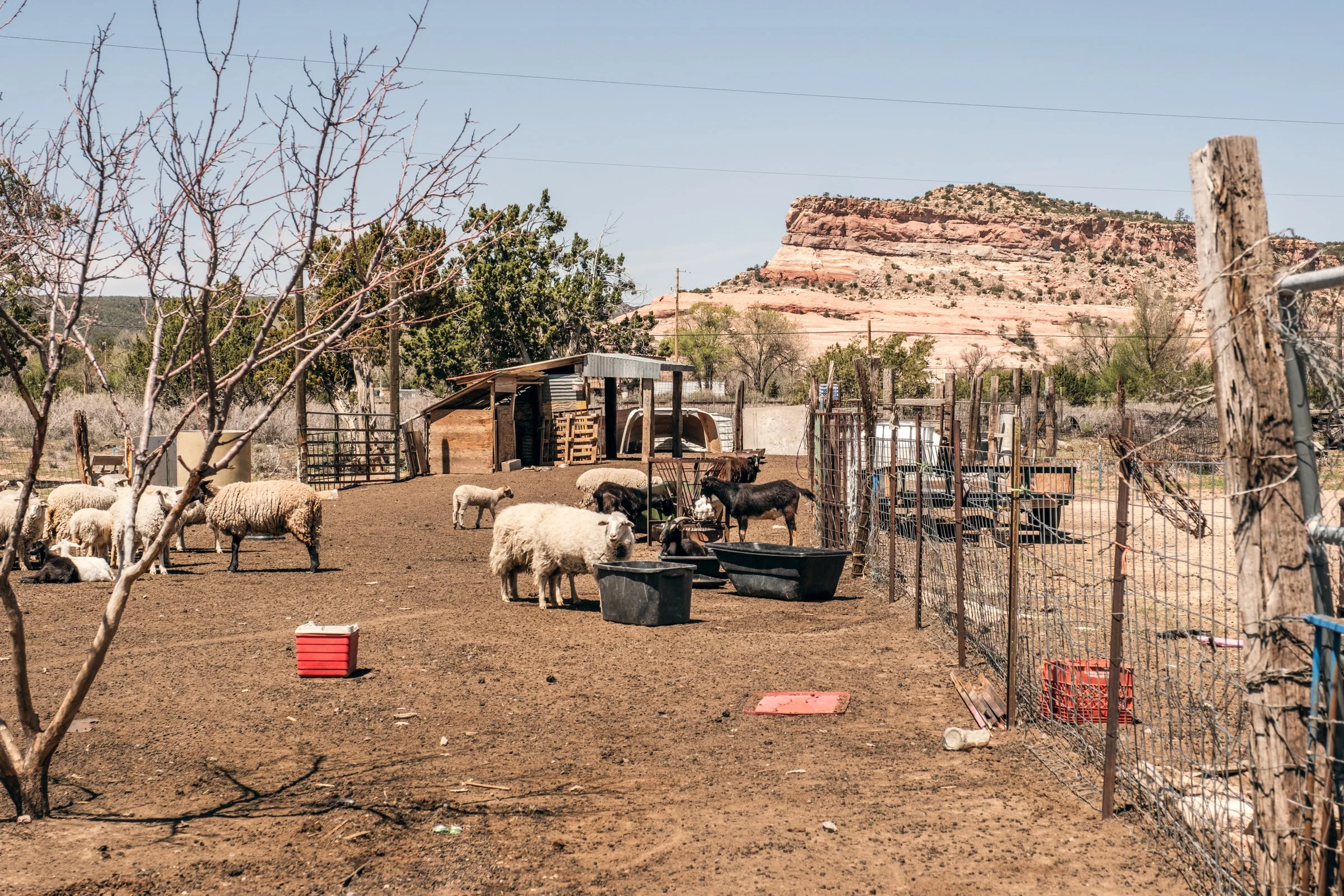Hauling Life | Navajo Nation — Unified Metadata Paragraphs

Wayne Wilson and Joann Whiting collect water in Gallup, New Mexico at a community water source. The containers are filled, prepared, and loaded into their vehicle for transport across the Na