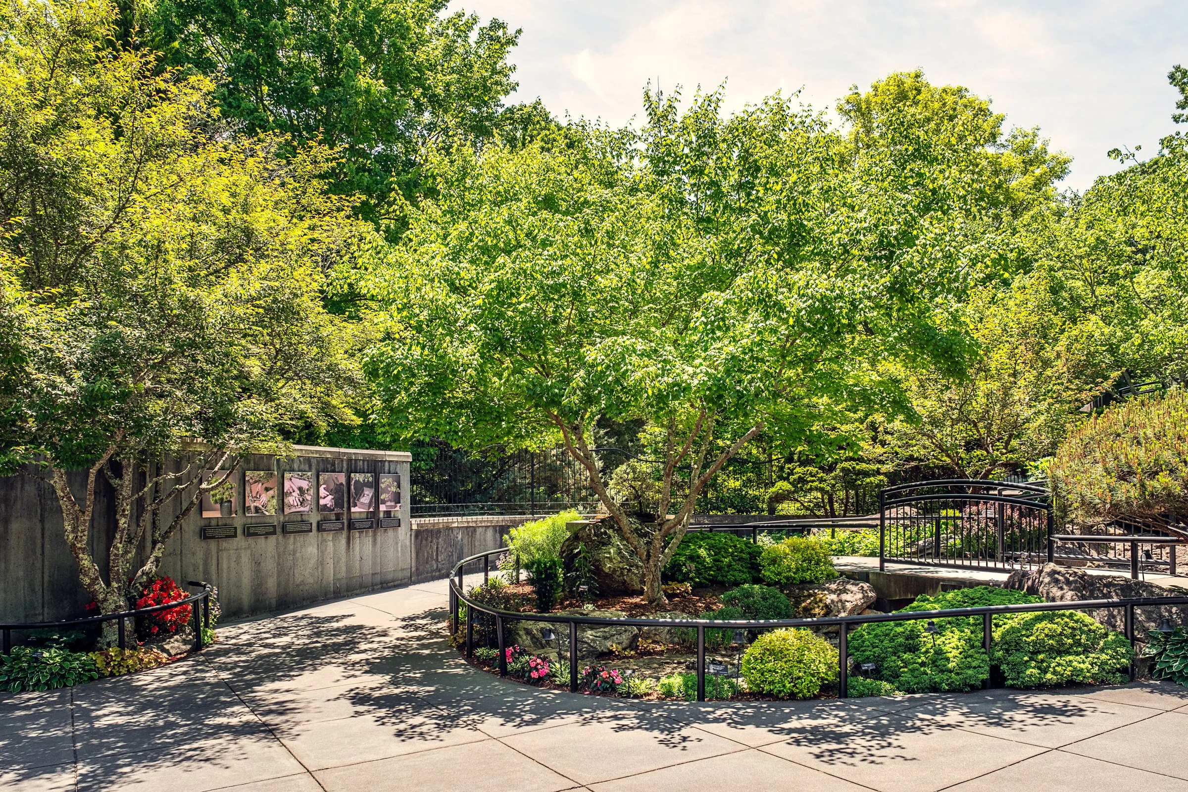 A quiet garden path and bonsai display at the North Carolina Arboretum near Asheville, North Carolina. Photographed by Lange Photo Studio. 