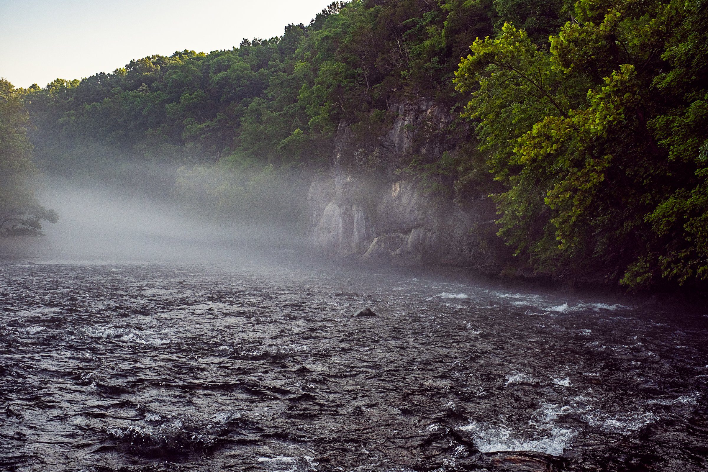 Guided fly fishing trip with Asheville Fly Fishing Company on a foggy river near Asheville, North Carolina. Photographed by Lange Photo Studio.