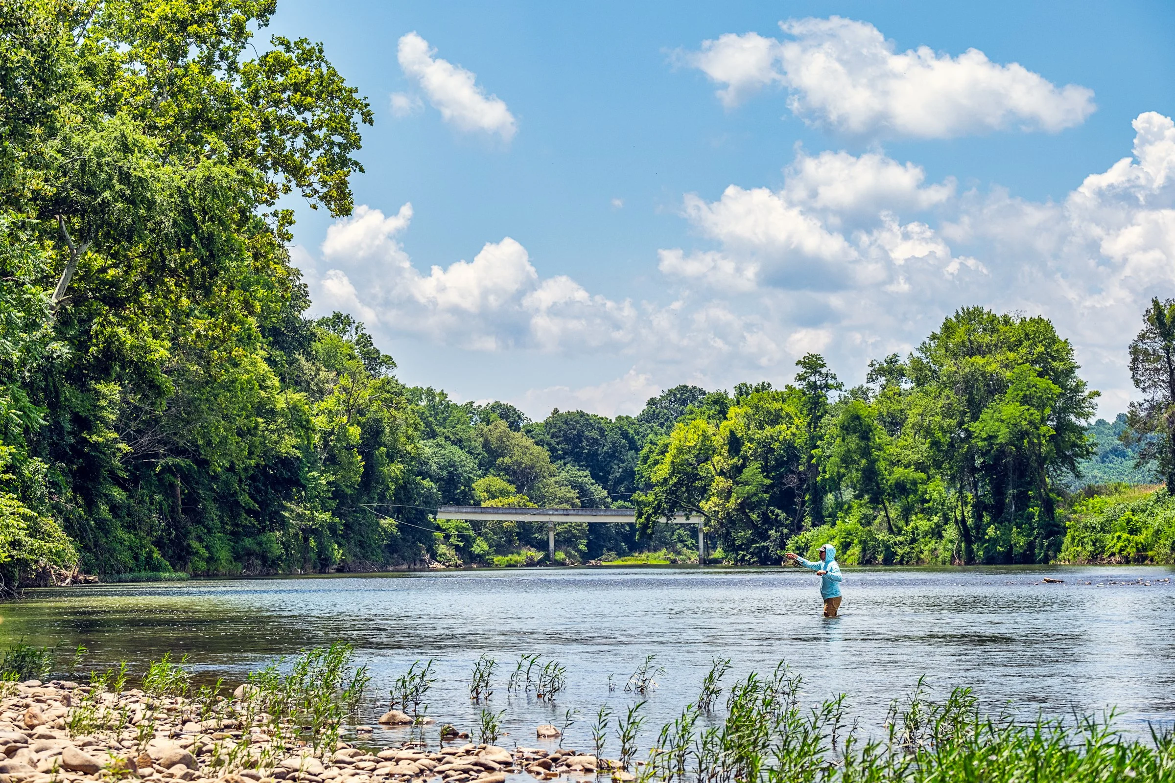 Guided fly fishing trip with Asheville Fly Fishing Company on a foggy river near Asheville, North Carolina. Photographed by Lange Photo Studio.
