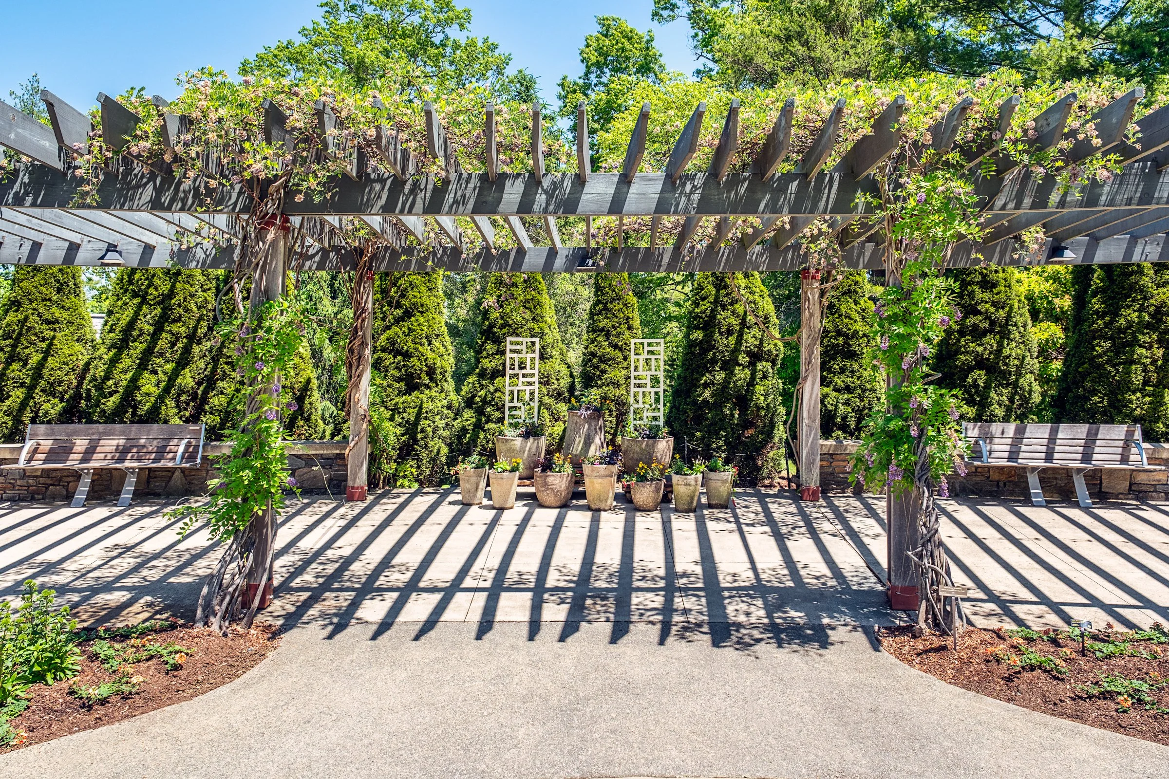 A quiet garden path and bonsai display at the North Carolina Arboretum near Asheville, North Carolina. Photographed by Lange Photo Studio. 