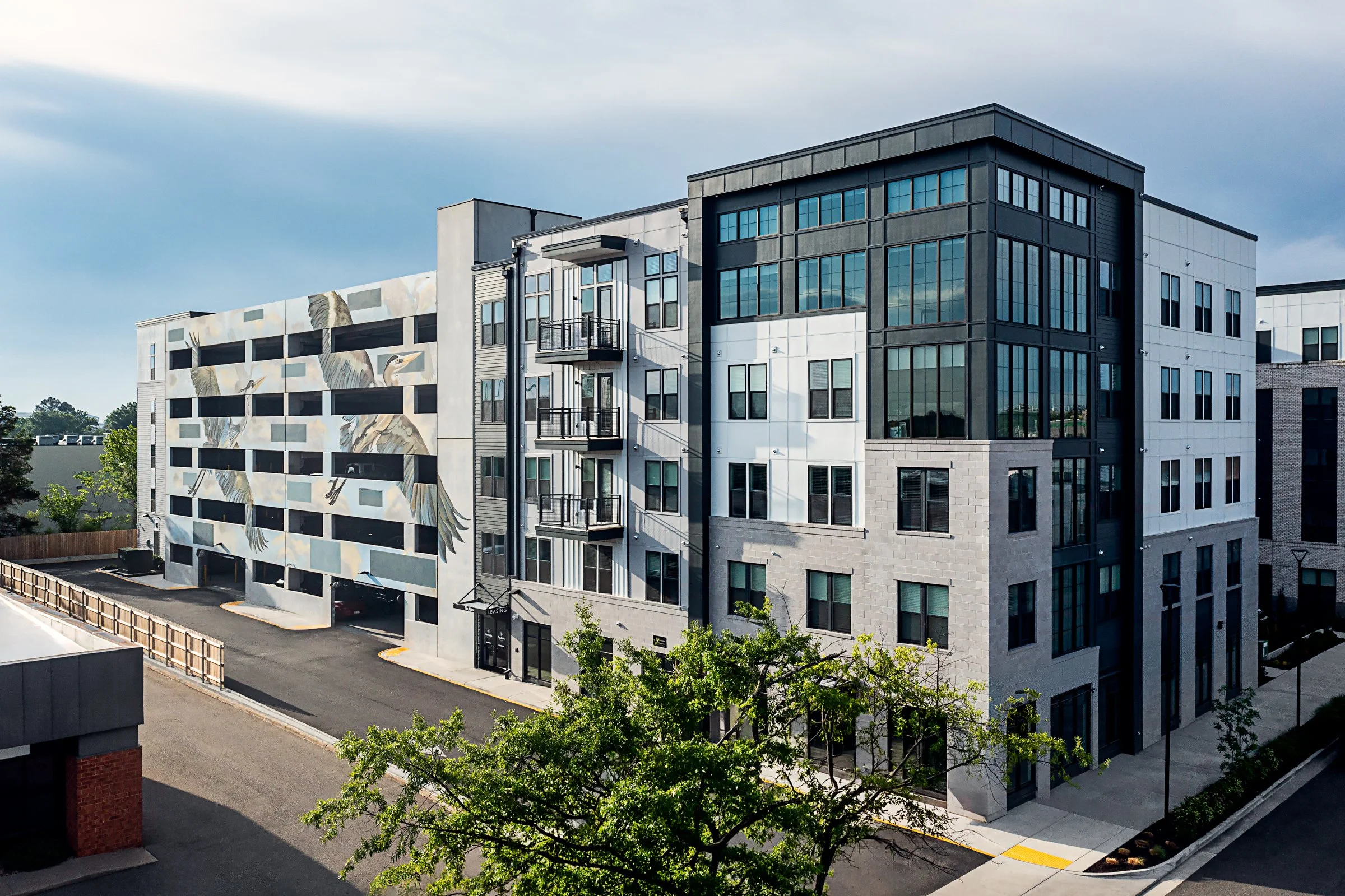Architectural photography by Paul Lange of Lange Photo Studio, showcasing The Alder in Richmond, VA. The series captures the building's modern design, vibrant communal spaces, rooftop lounge, resort-style pool, highlighting the dynamic living experie