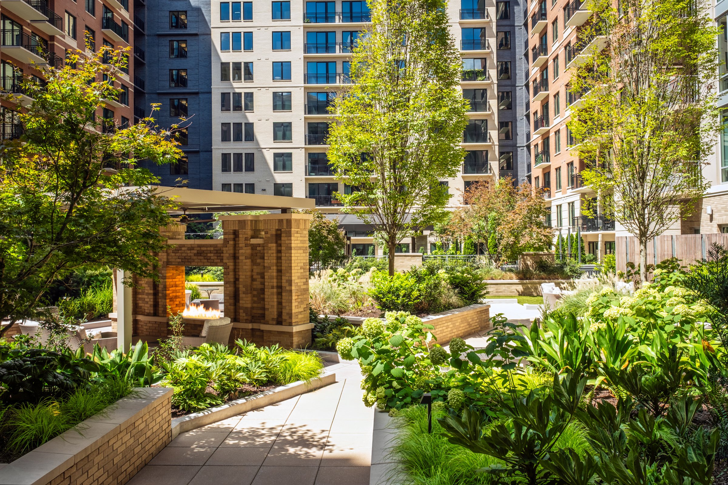 Village on Morehead a 55+ luxury senior living community showcasing the amenity courtyard, landscape design, by LandDesign in Charlotte, NC. Created by Lange Photo Studio.