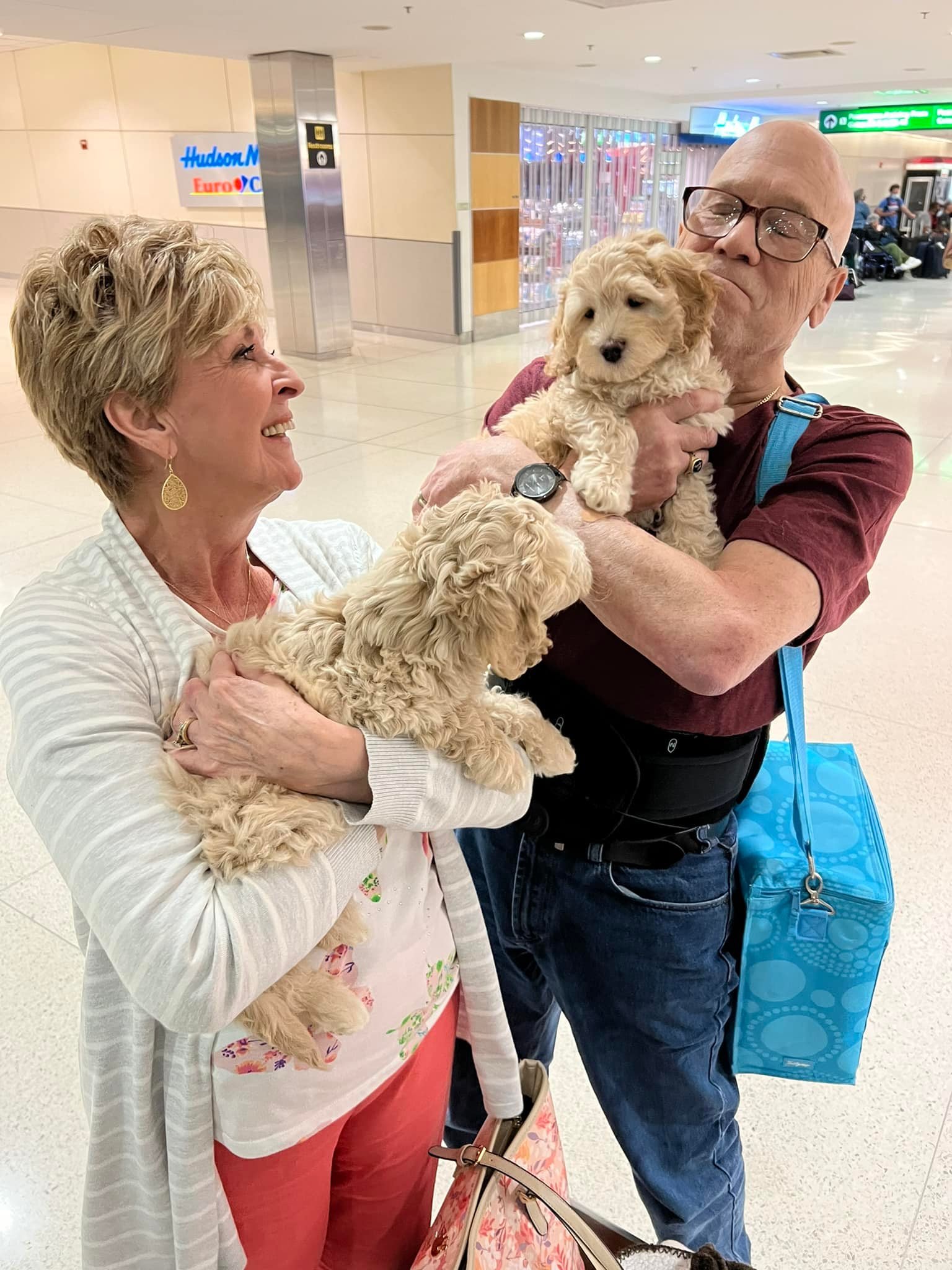 puppies united with family happy parents