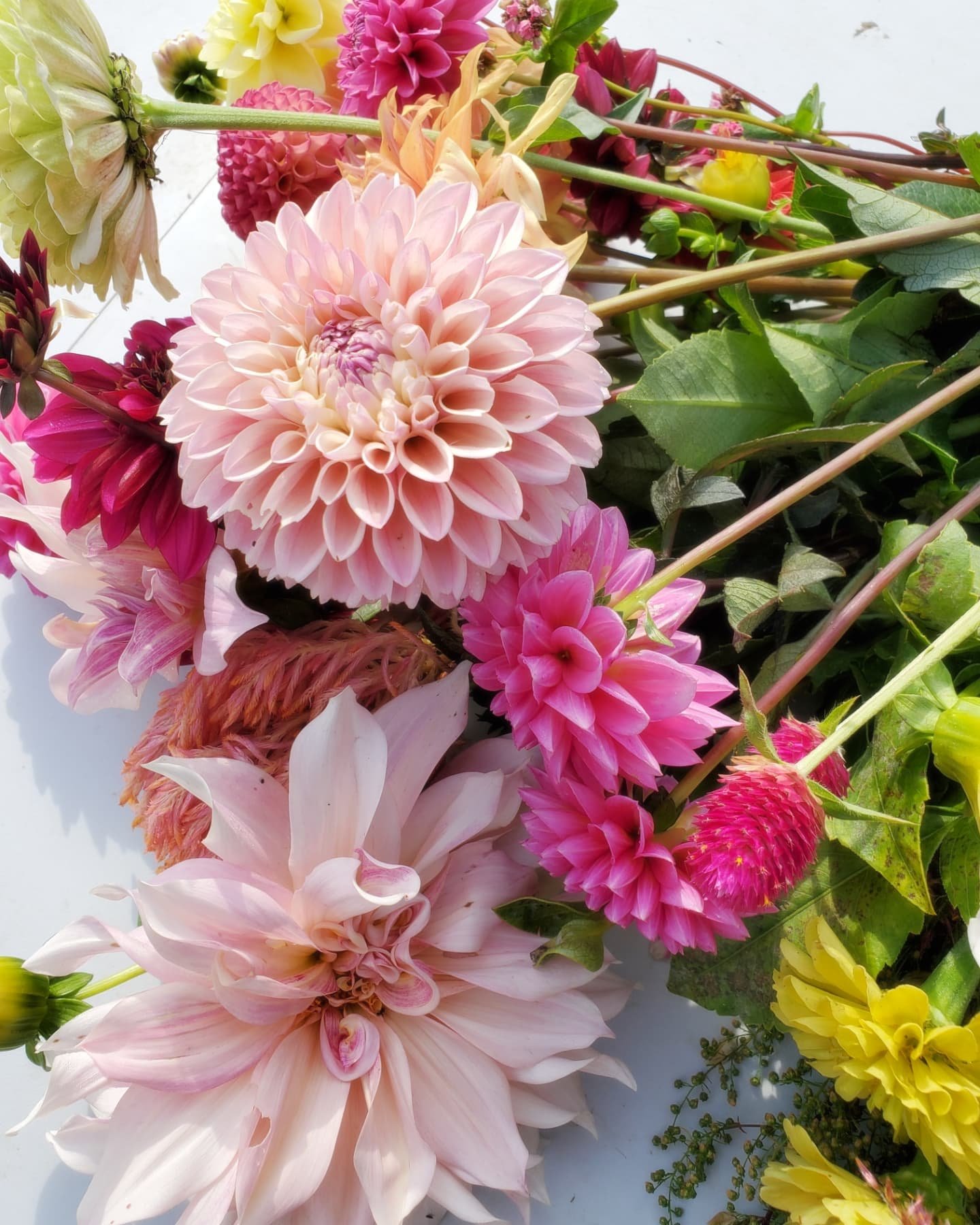 I don't post too much about U Pick. I feel a bit awkward asking people if I can take pictures of their bouquets. Plus it feels a bit intrusive. Karin came this past weekend and it really seemed to be a private intimate experience for her. It was a sl