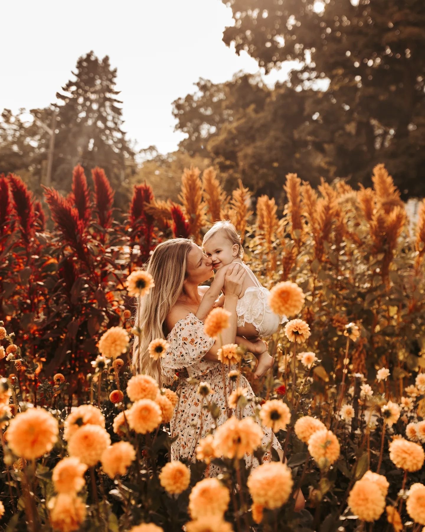 We finally had our first official frost on Sunday night.  Our dahlias have died 😞 and today we started the great fall clean up.  We cut our dahlias down to the ground and will start to dig everyone up in the coming weeks.  It was a lovely warm day. 
