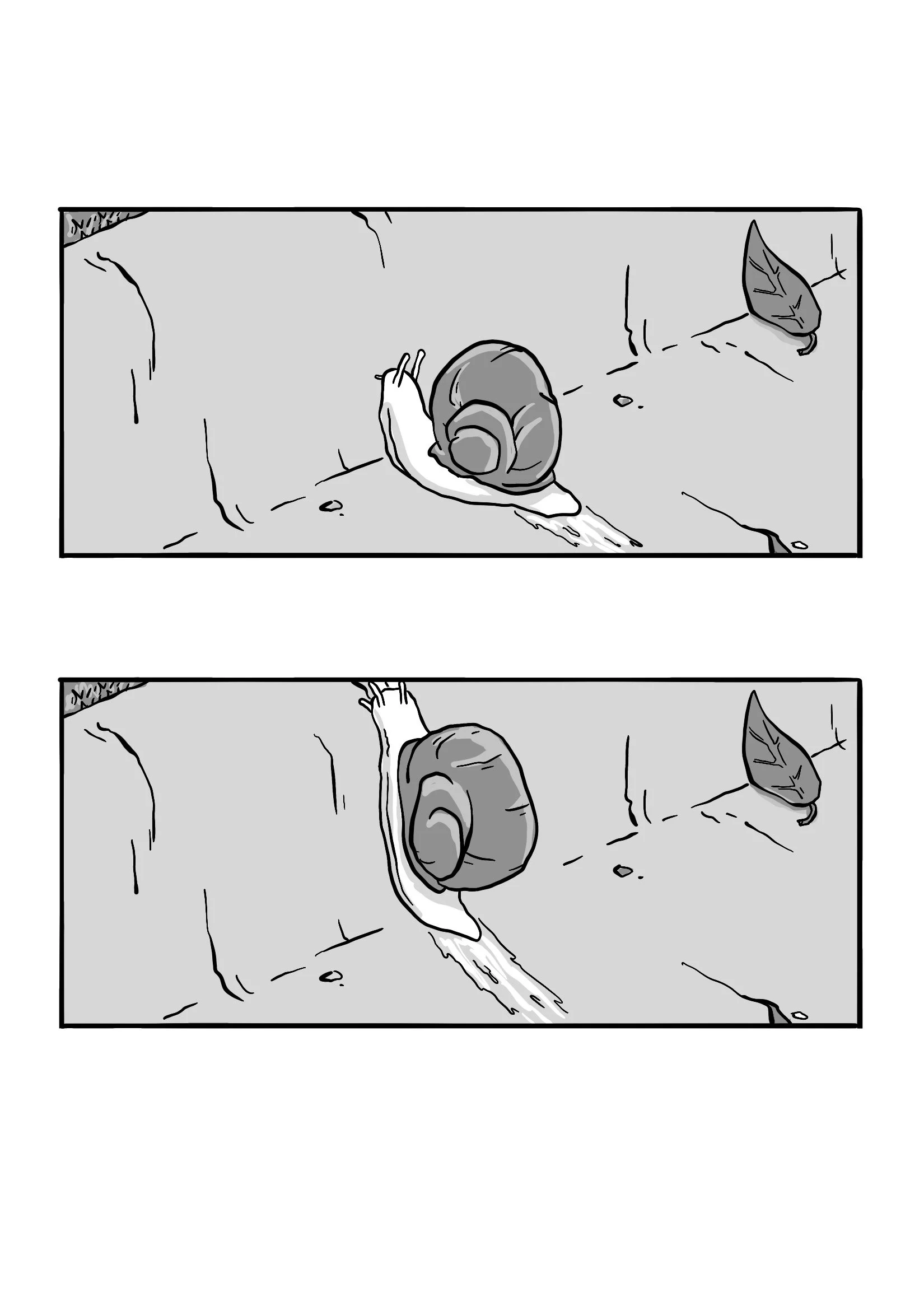 005.jpg