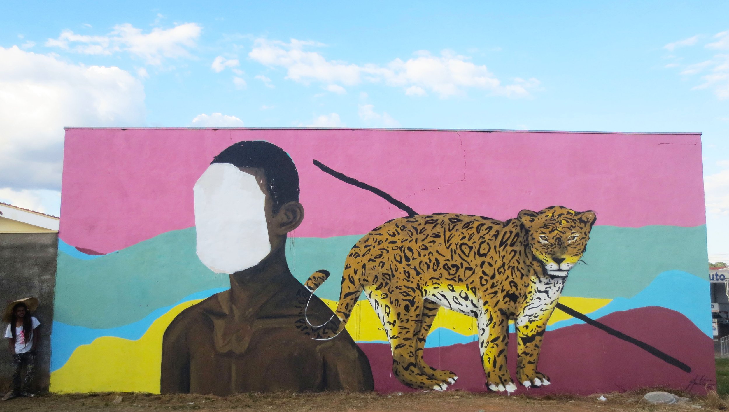 Mural  Sao joao da boa vista Brasil 2015 Zéh Palito.jpg.JPG