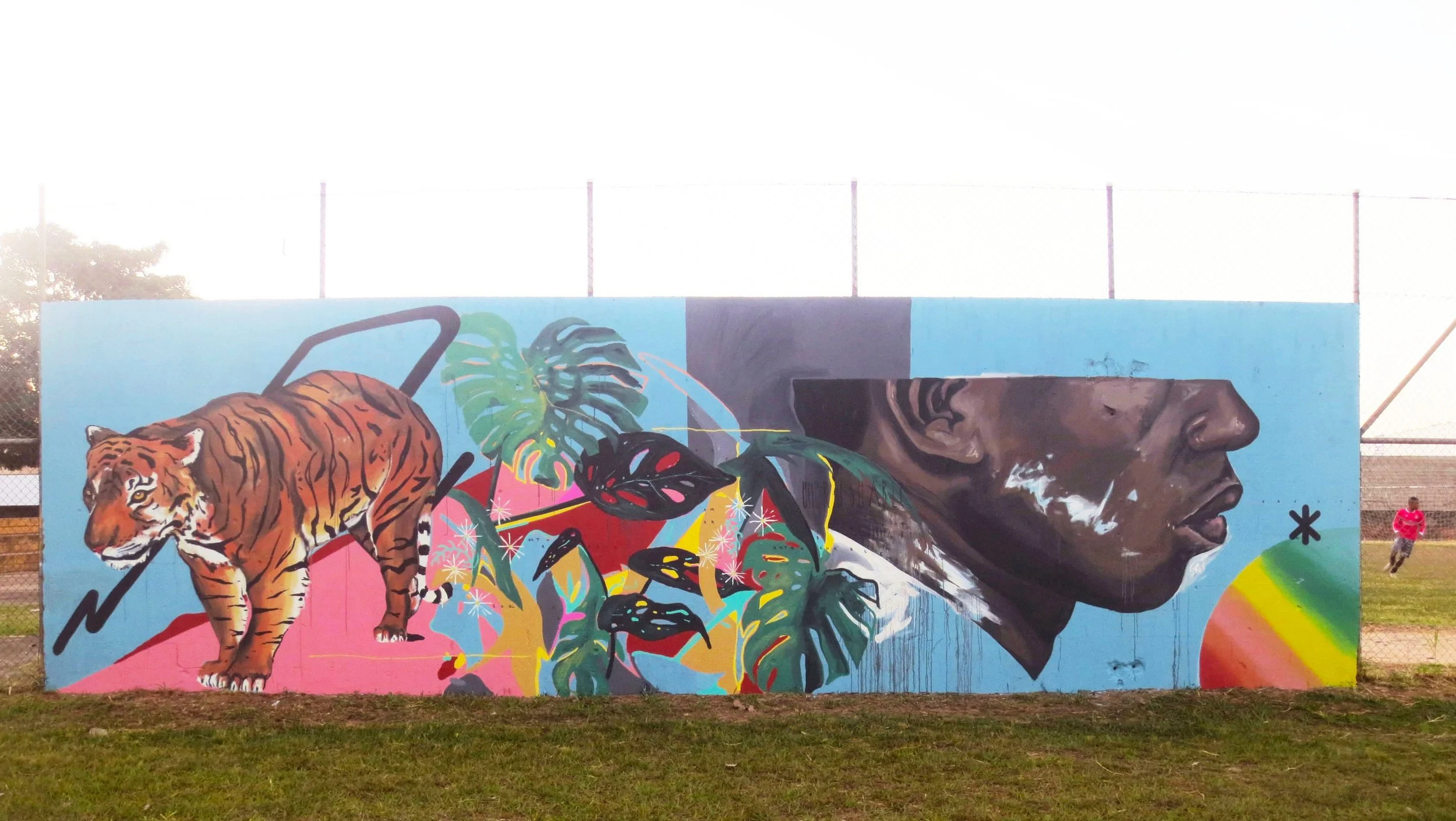 Mural Limeira-SP Brasil 2016 Zéh Palito.jpg.JPG