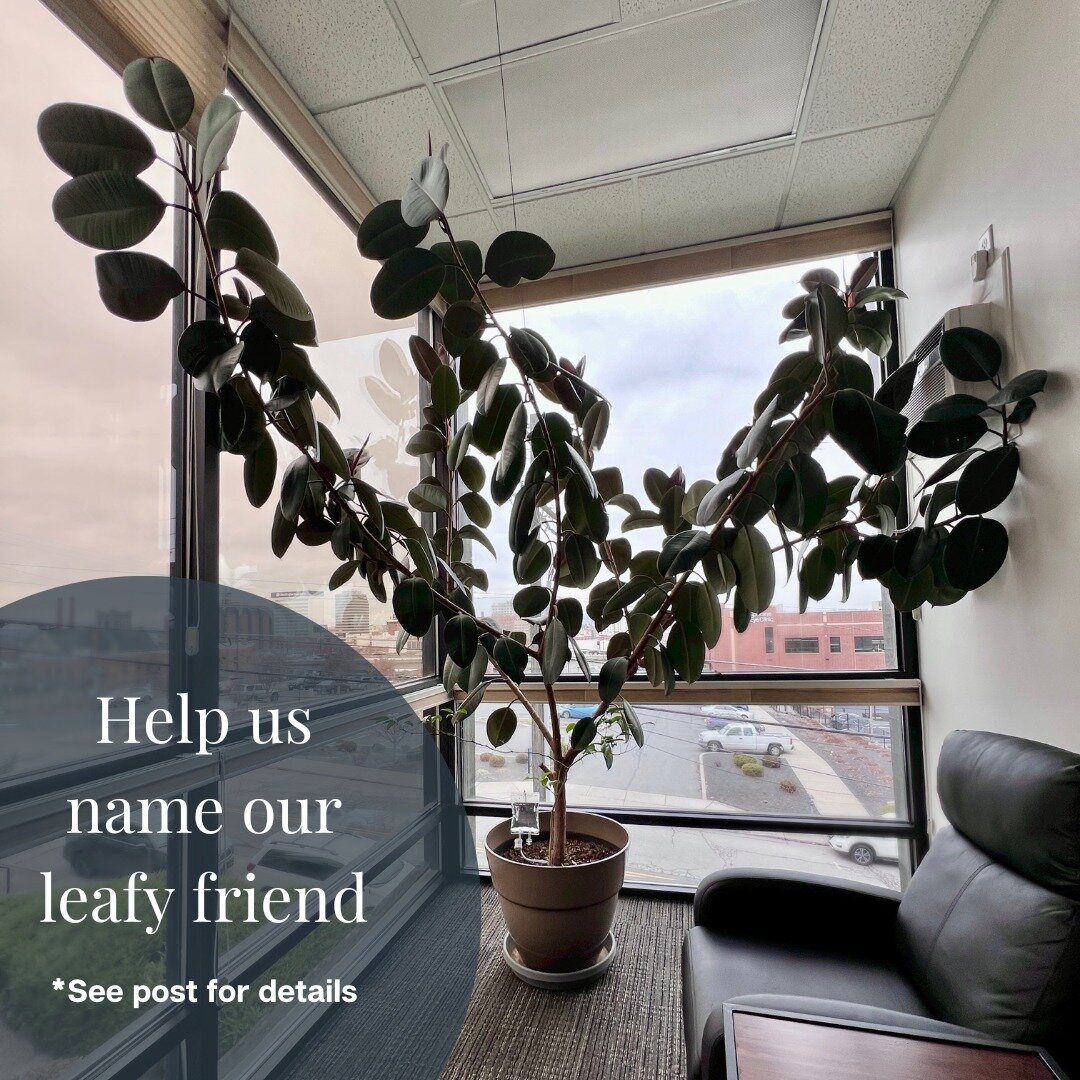 🪴💉💧 Giveaway 💧💉🪴⁠
⁠
It&rsquo;s time our resident leaf friend had a name, and we need your creative input!!! For the month of April, we are hosting a Name Our Tree contest! ⁠
⁠
The winner will receive 50% off their choice of IV and the credentia