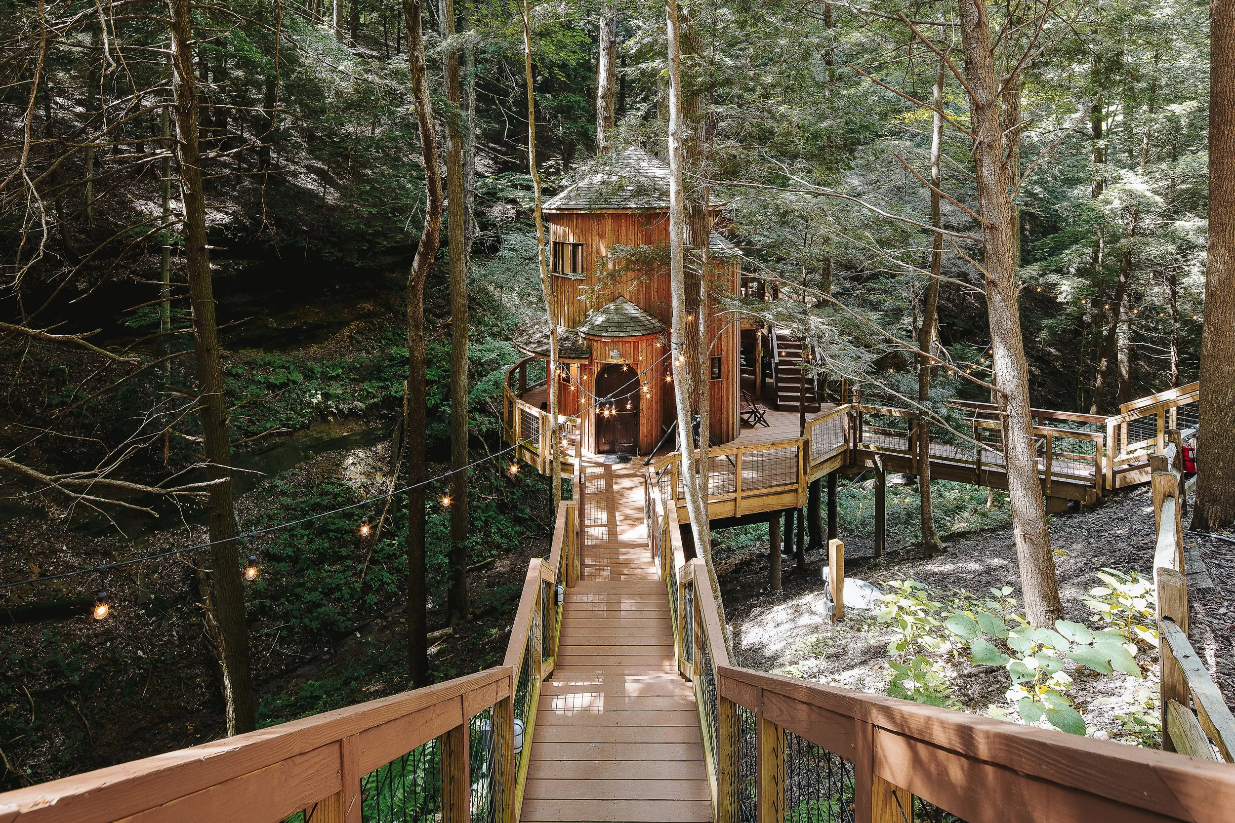 Wooden walkway with railings leading to a treehouse surrounded by dense forest with tall trees and green foliage.