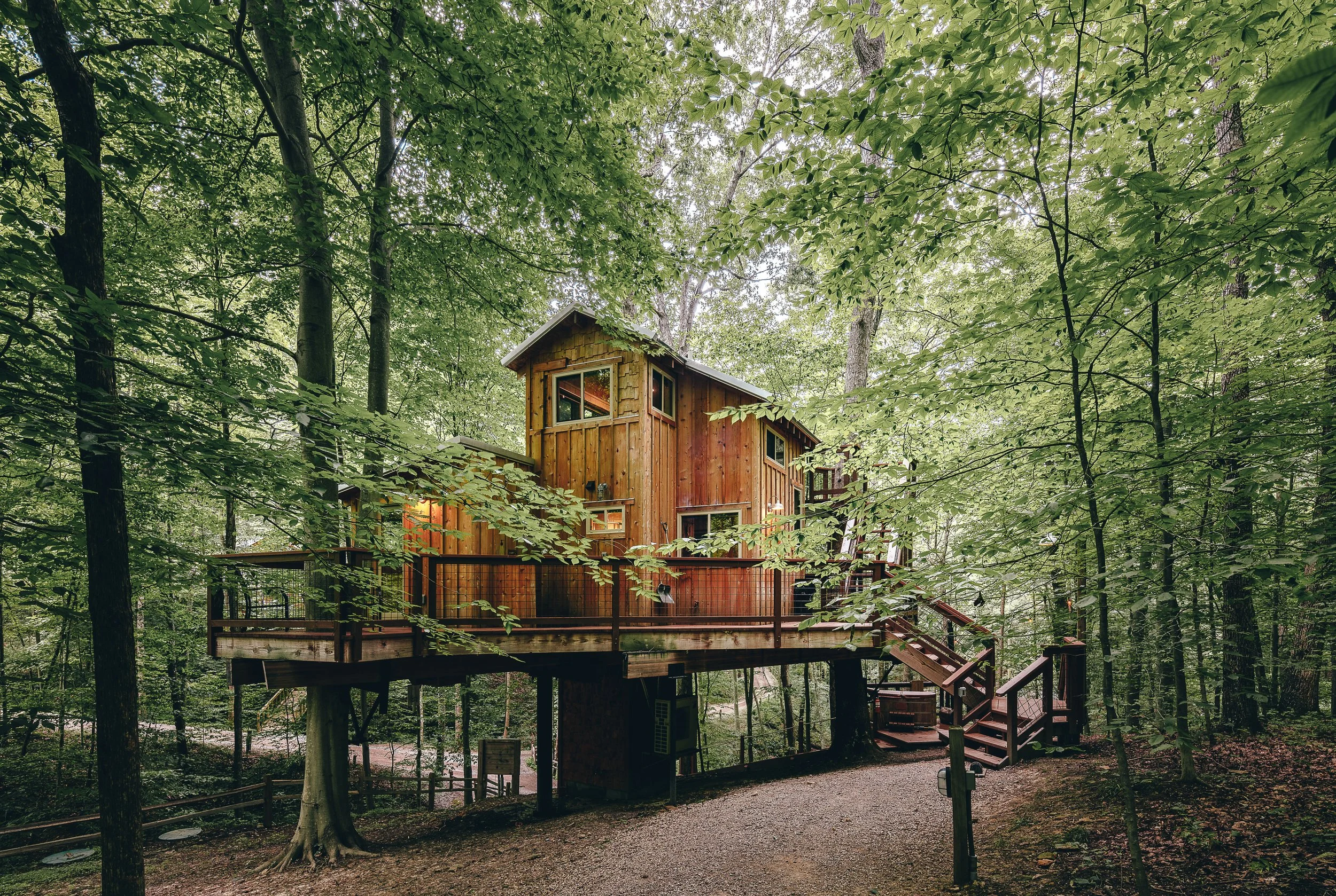 A wooden treehouse built among the trees in a lush green forest, with a deck and staircase.