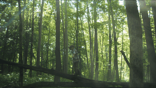 Visit Haywood / Commercial / DP