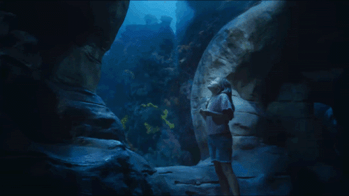 TN Vacation / Commercial / Camera Op