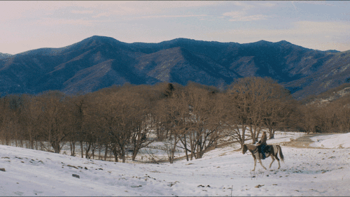 The Mountain / Documentary / Camera & Gimbal Op