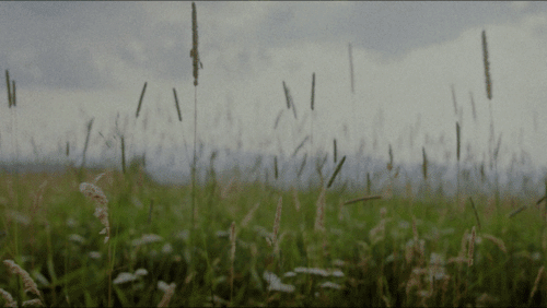 Buchi / Commercial / Gimbal Op