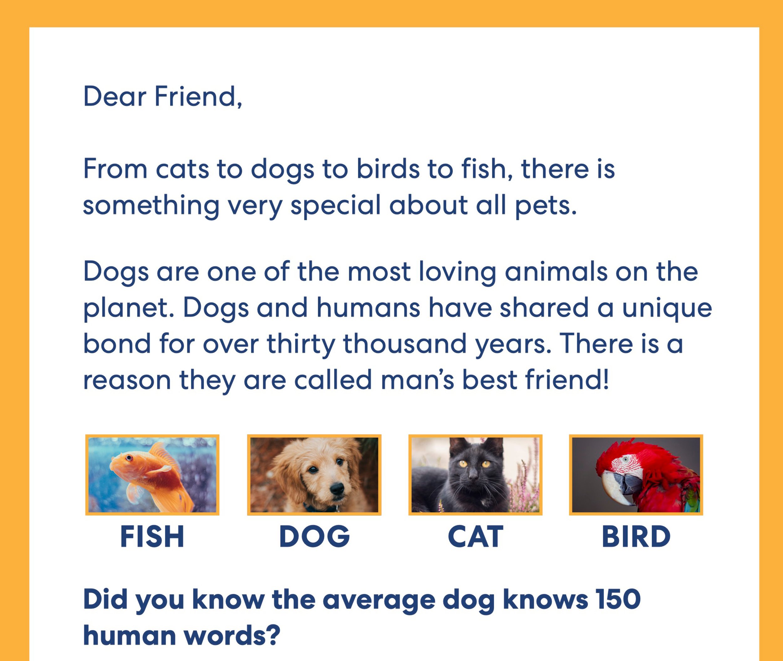 pets text from letter.jpg