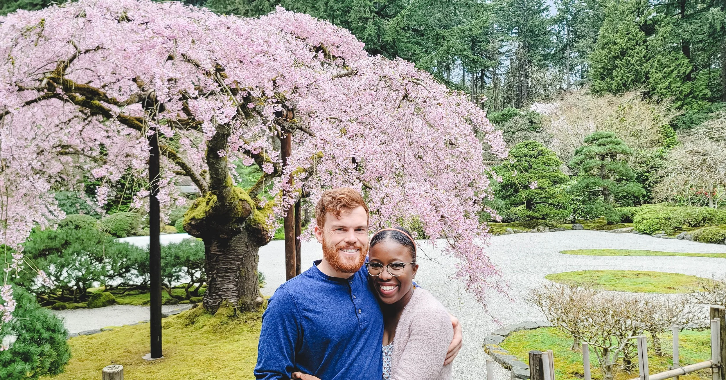 A couple smiles under a blooming cherry blossom tree in a Japanese garden with neatly trimmed greenery and gravel paths.
