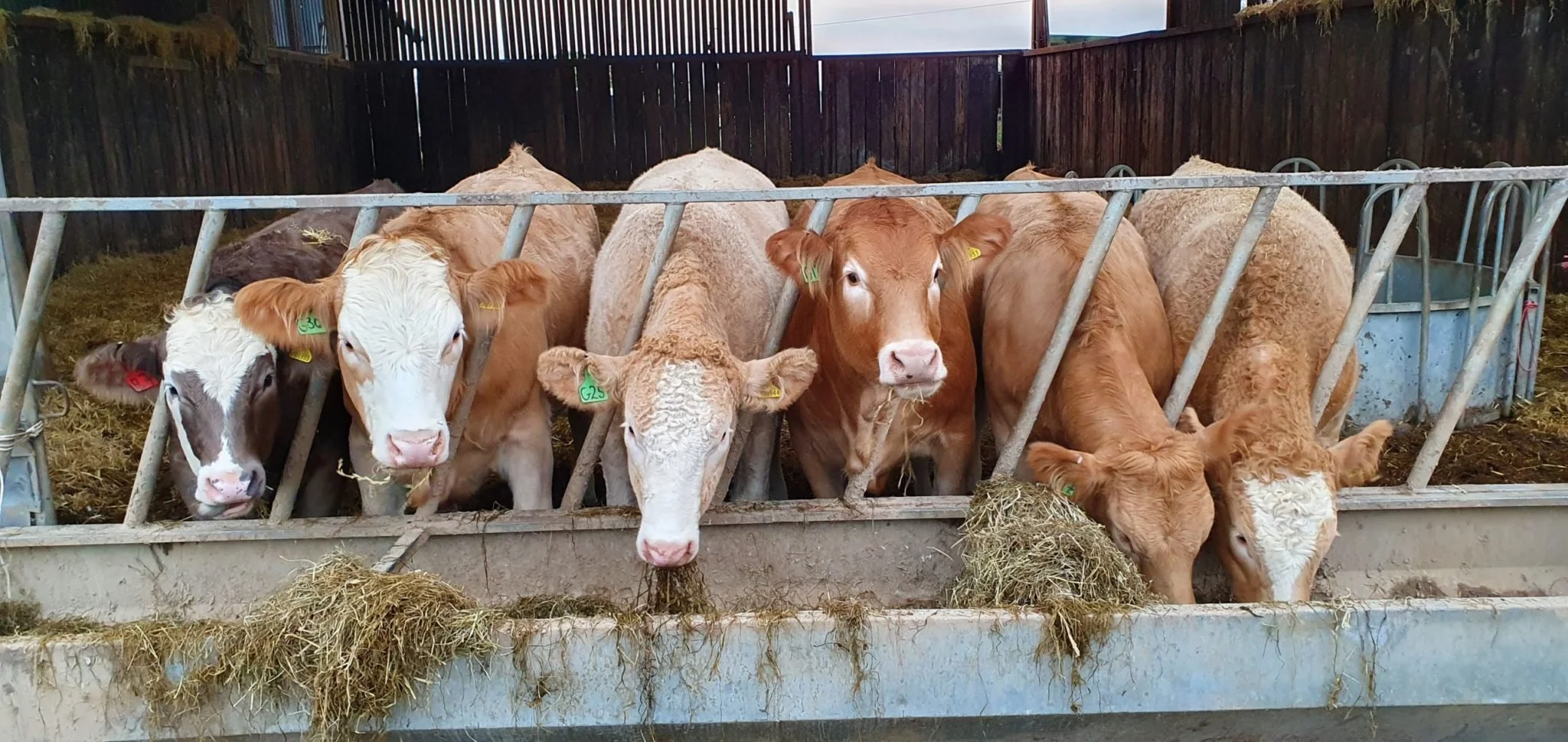 Agriculture — FC Supplies