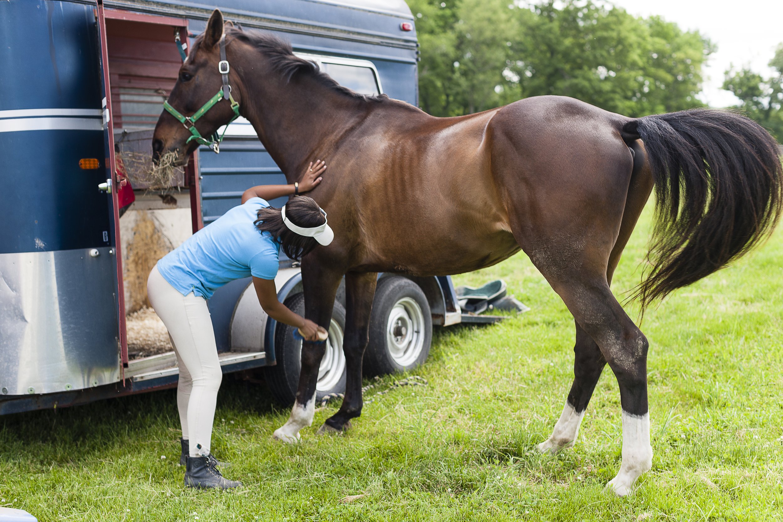 best horse feed for older horses
