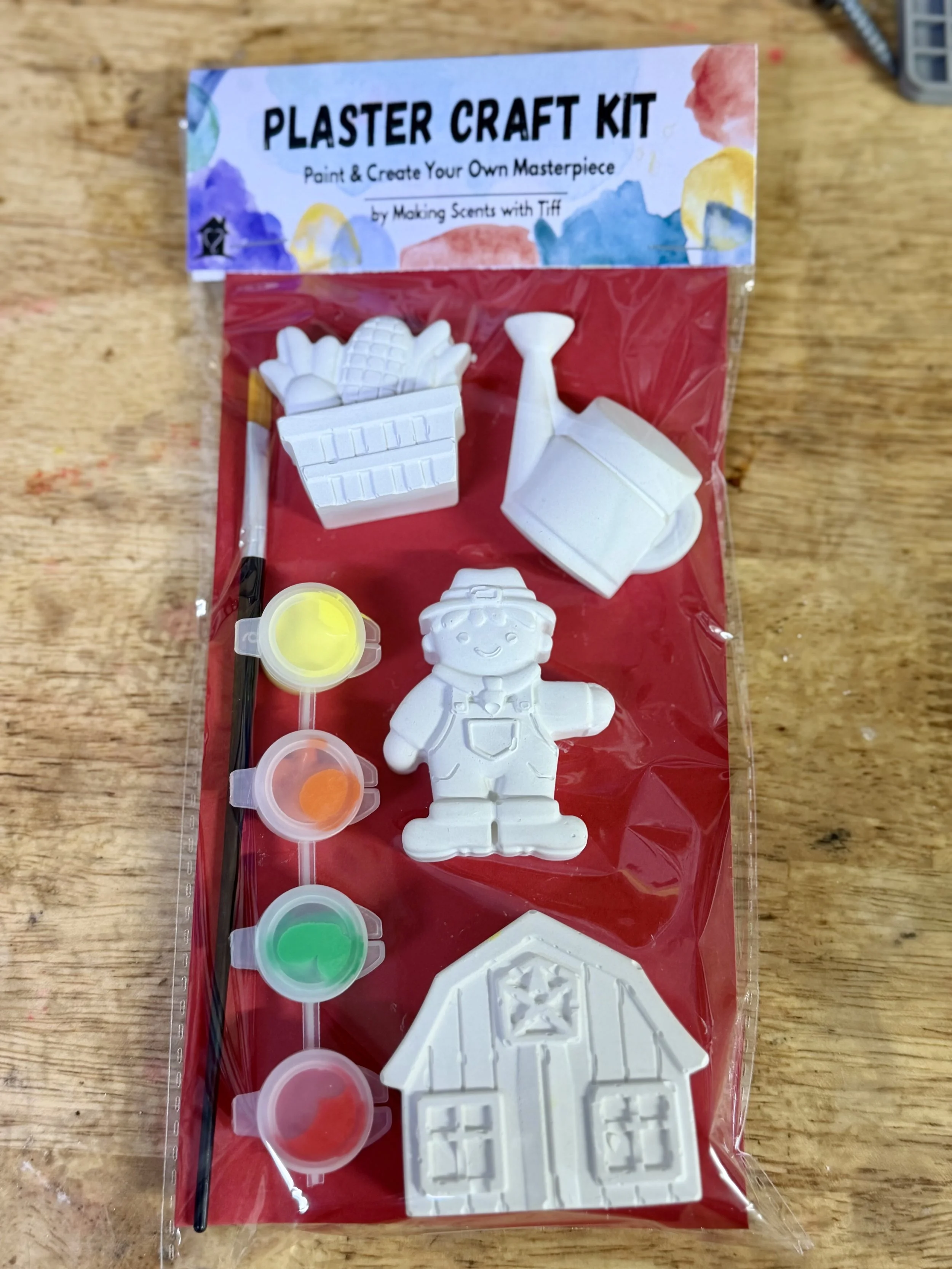 Plaster Craft Kits