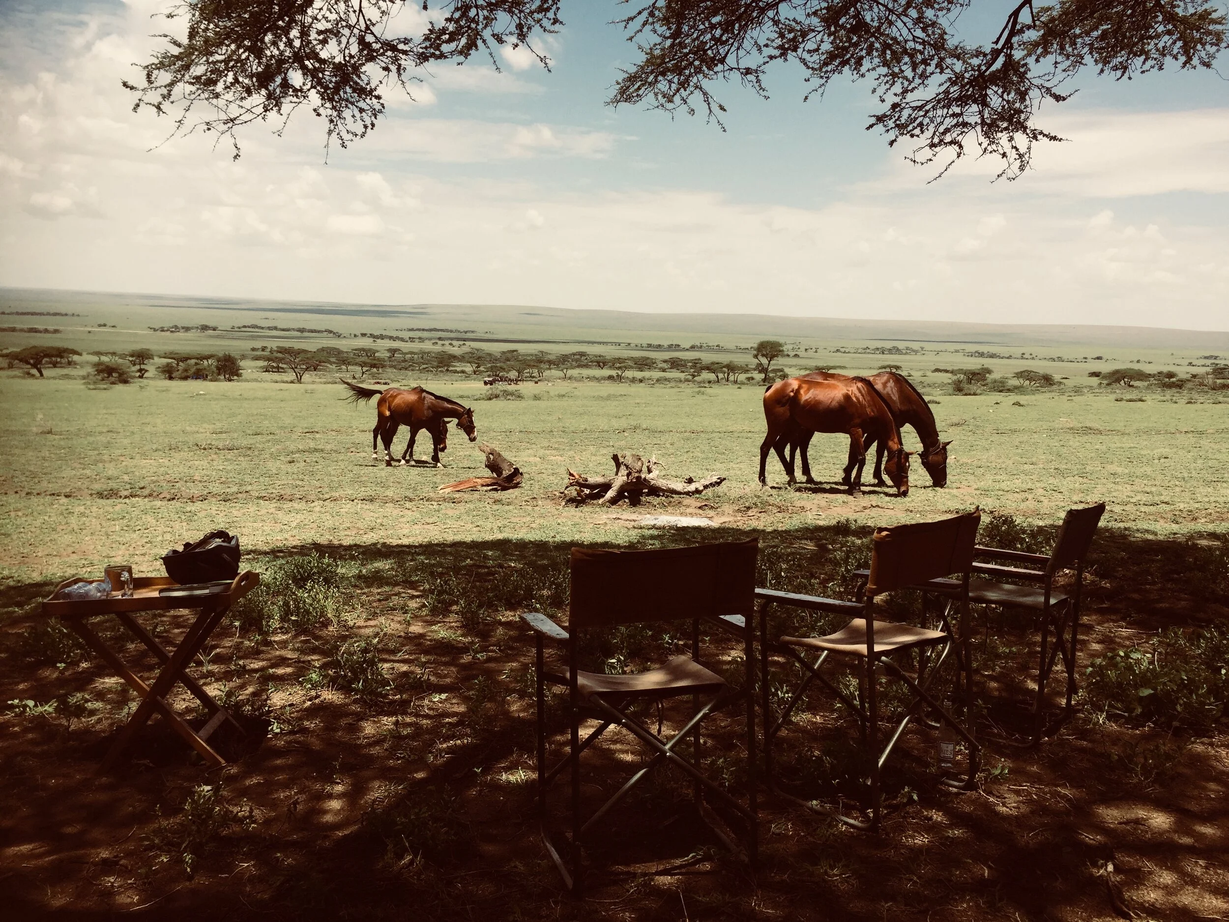 Tanzania - Horse Riding Safari
