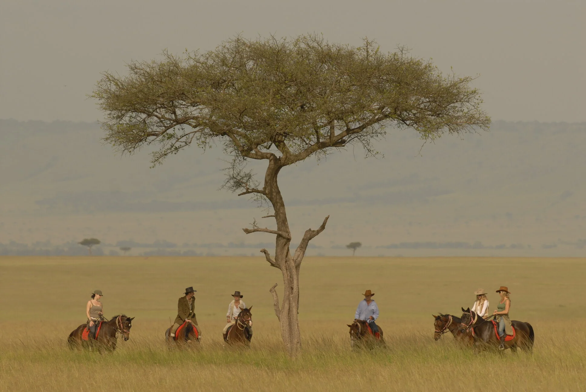 37 Lone tree.jpg