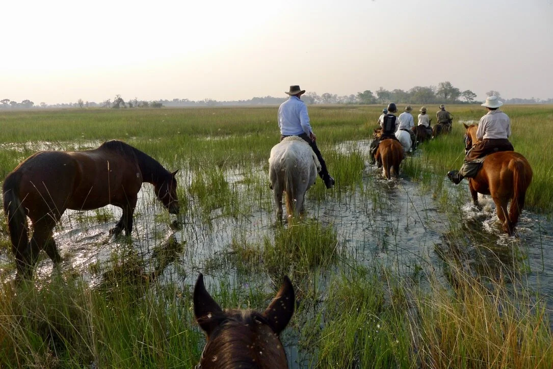 Floods in the Delta.jpg