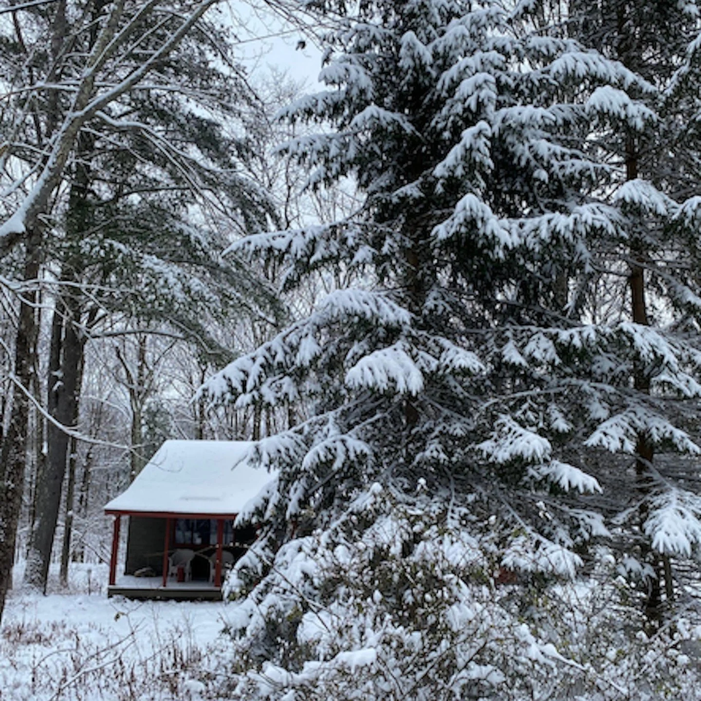 ❄️ Gifts for the Slow Season ❄️

From a quiet snowy cabin to your doorstep: each one-of-a-kind gift set for moss lovers, wabi-sabi fans, oyster enthusiasts, and textile admirers.

✨ $75&ndash;$150 | Free U.S. shipping | Free home delivery in NYC &amp