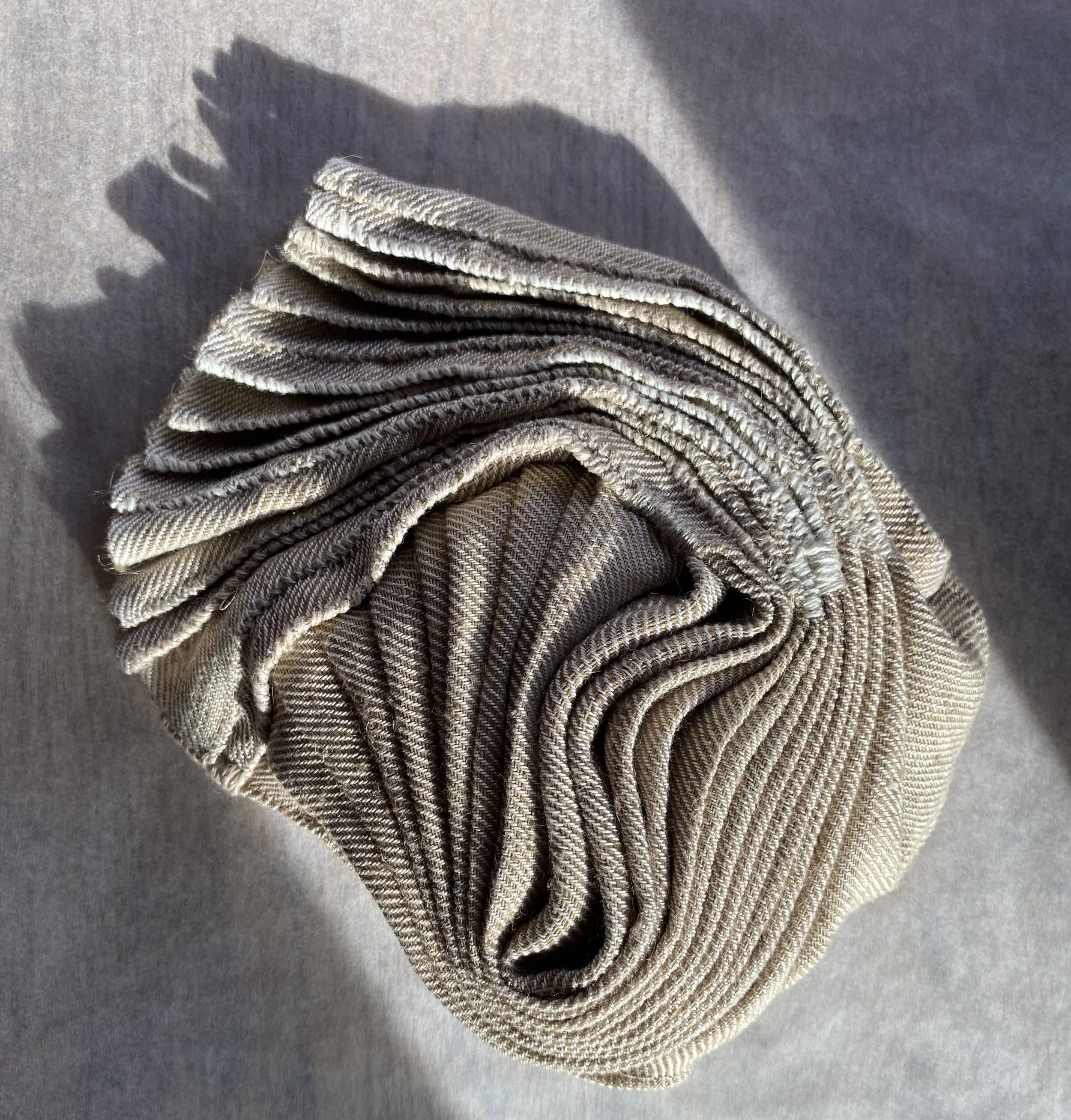 Pacific Oyster 1 with shadow.jpg