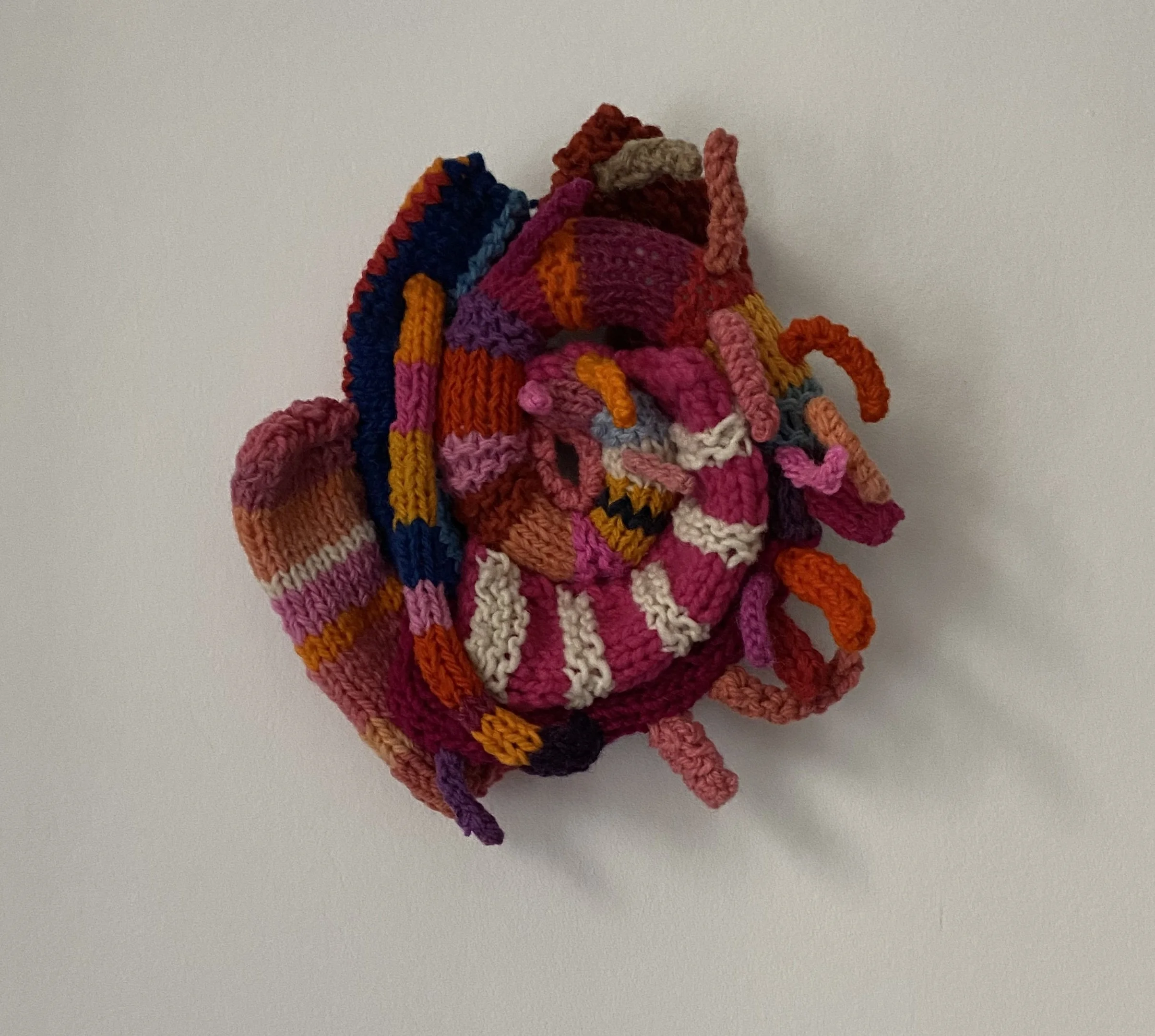 Spiny Oyster 1 with slight shadow.jpg