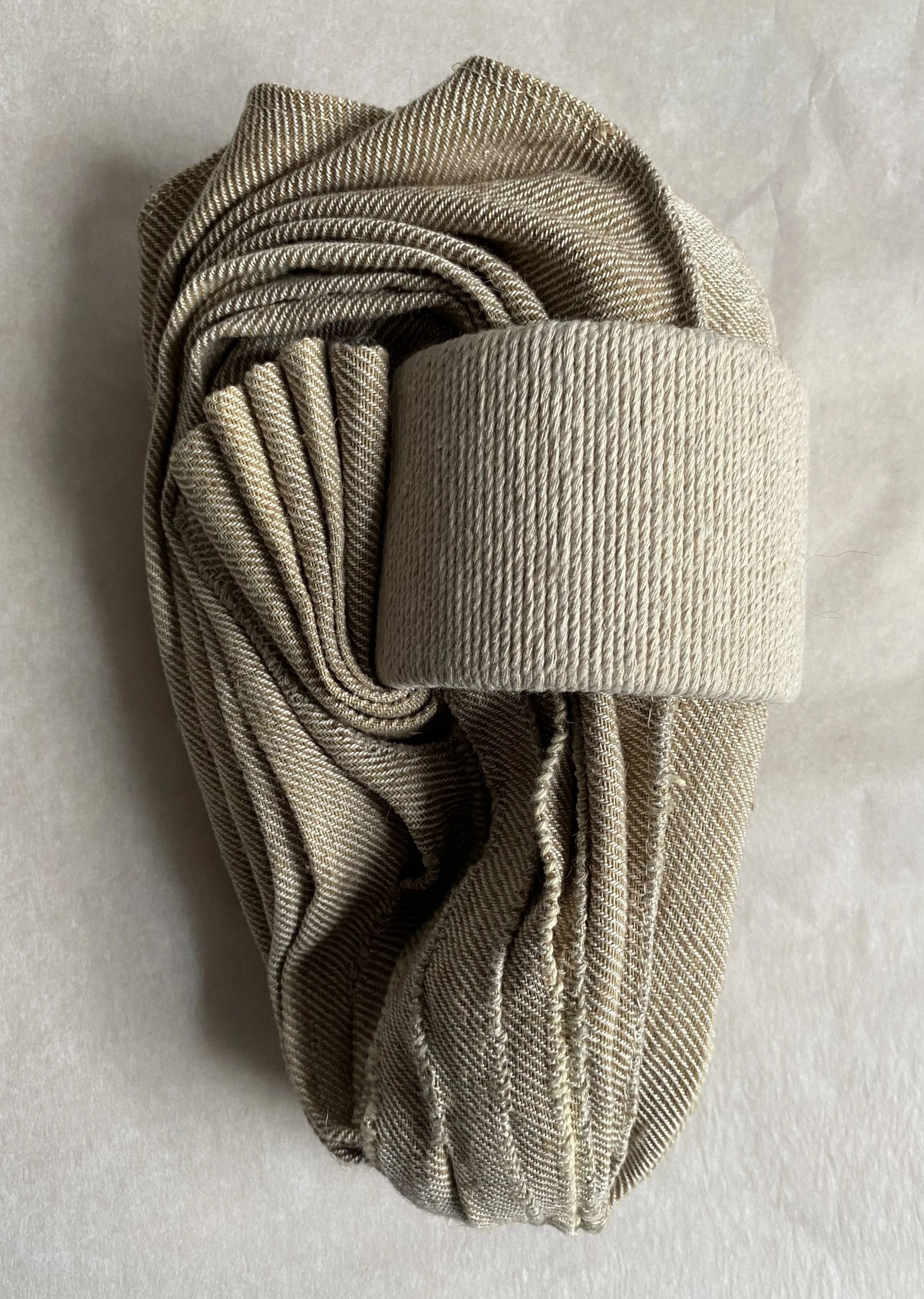 Borucki Pacific Oyster 2.jpg