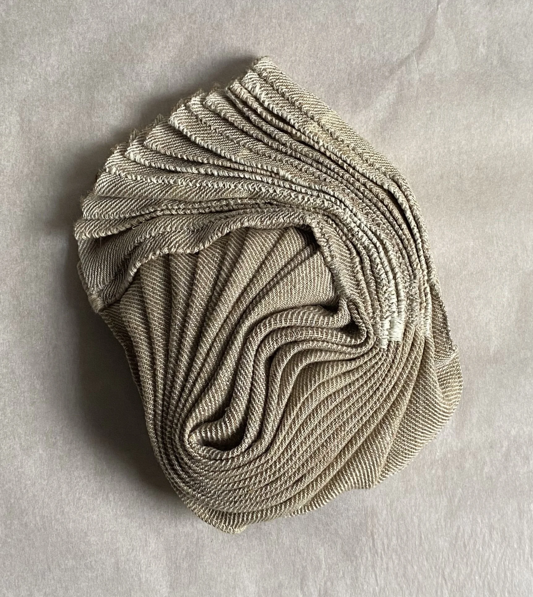 Borucki Pacific Oyster 1.jpg